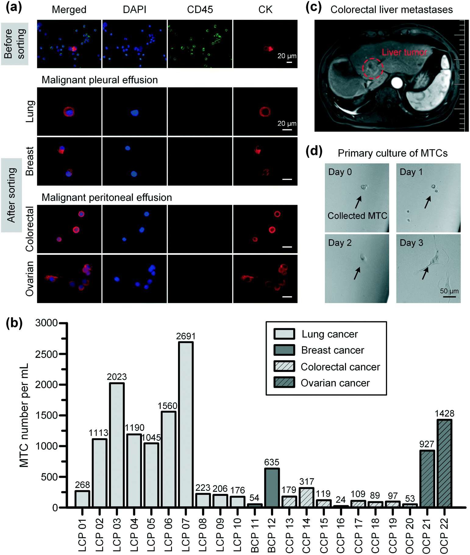 https://pubs.rsc.org/image/article/2022/LC/d2lc00082b/d2lc00082b-f3_hi-res.gif