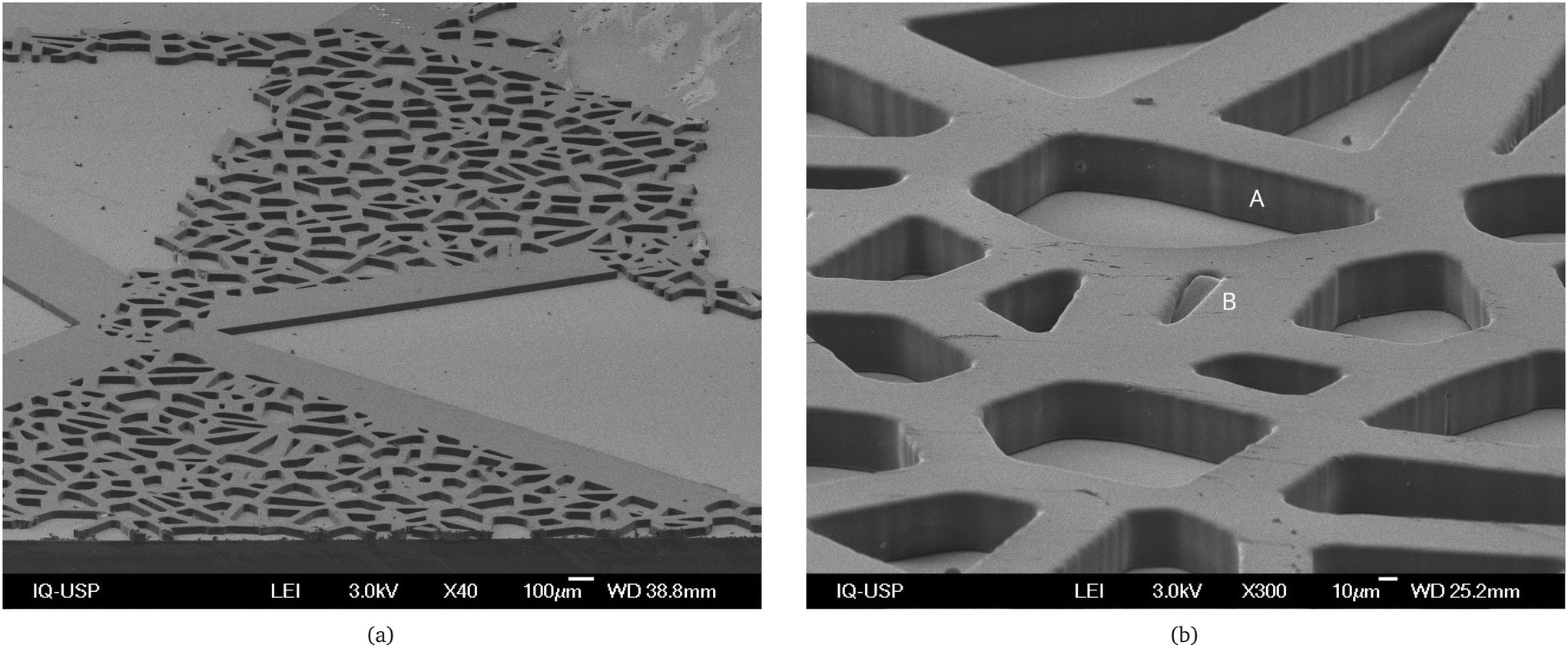 Dual-porosity micromodels for studying multiphase fluid flow in carbonate  rocks - Lab on a Chip (RSC Publishing) DOI:10.1039/D2LC00445C