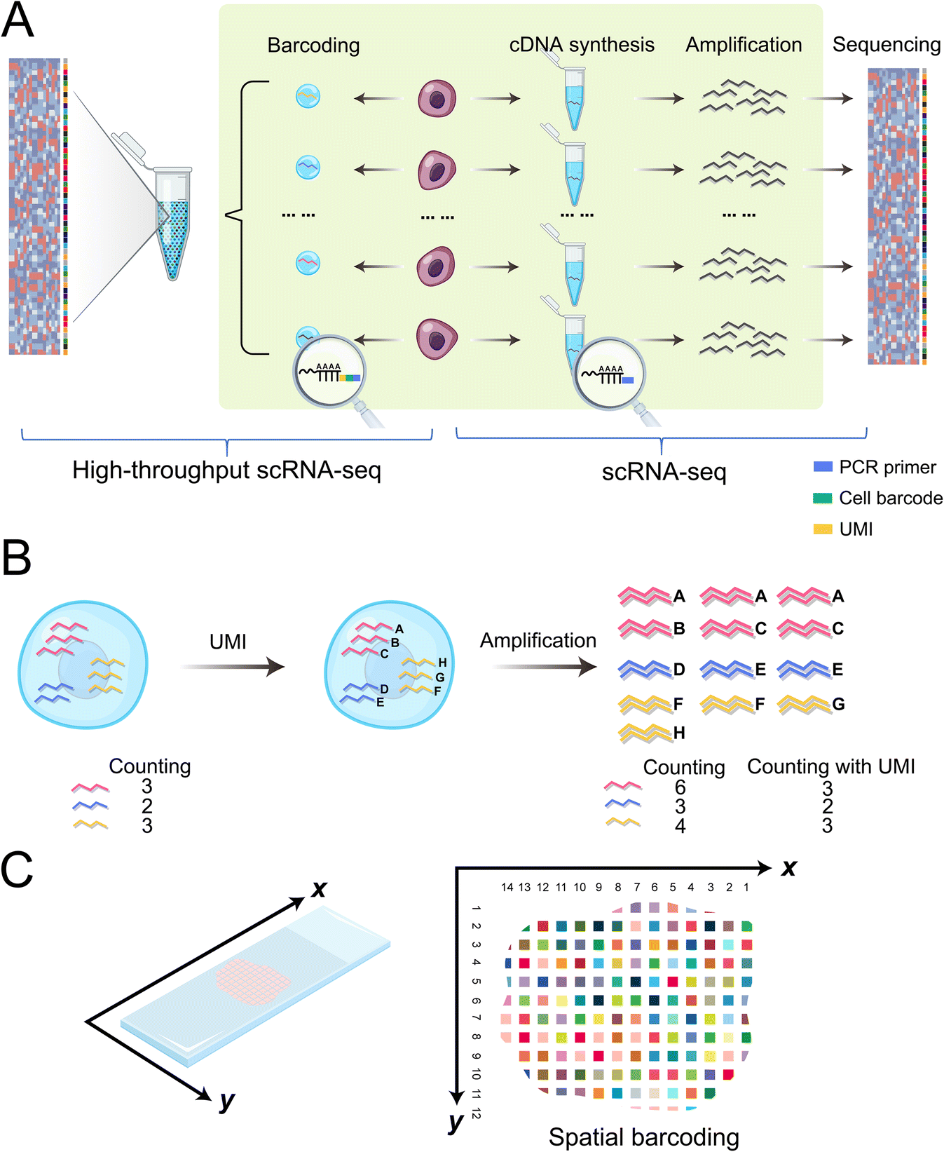 TomoSeq data search