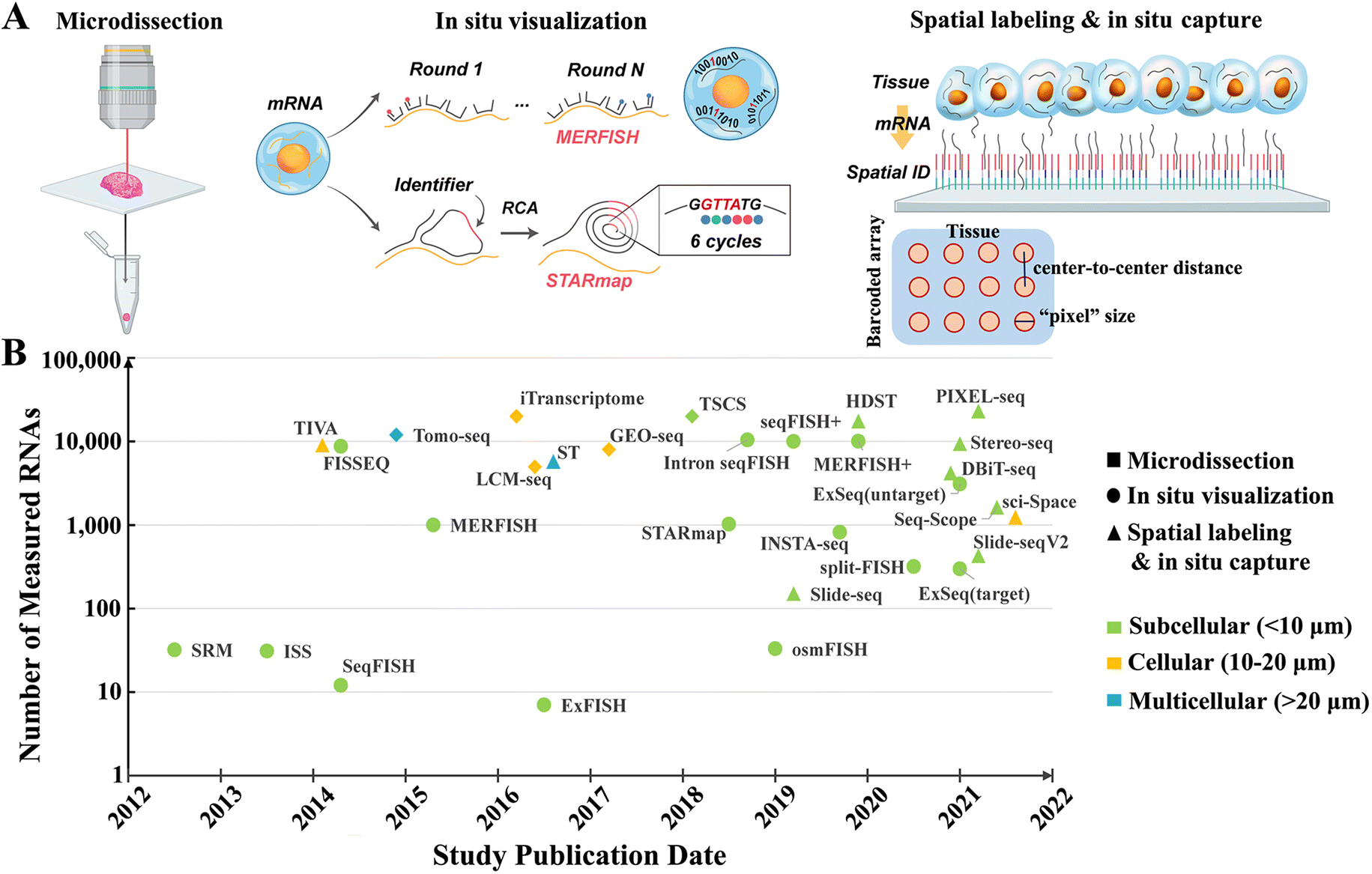 Spatially resolved transcriptomics: advances and applications