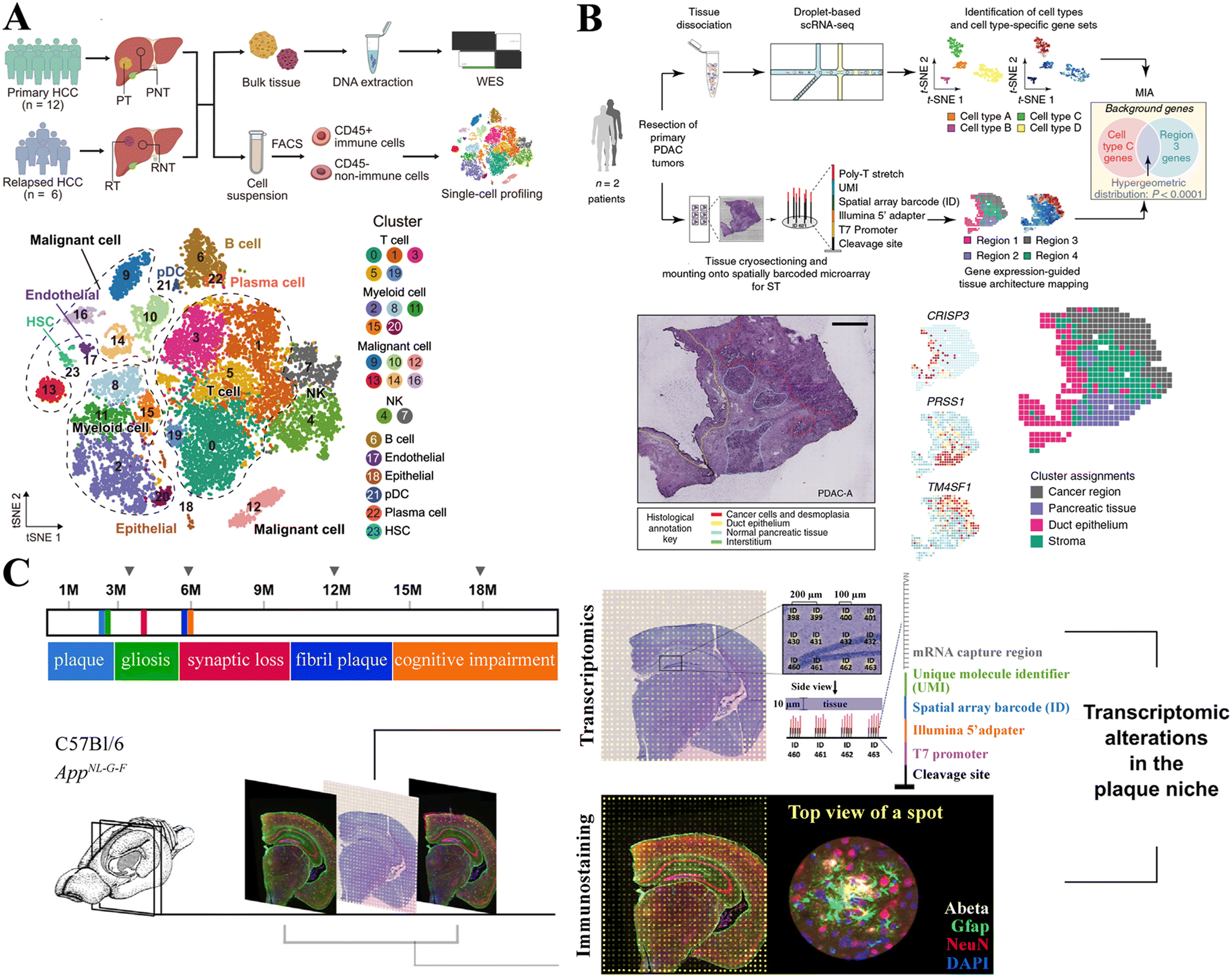 TomoSeq data search