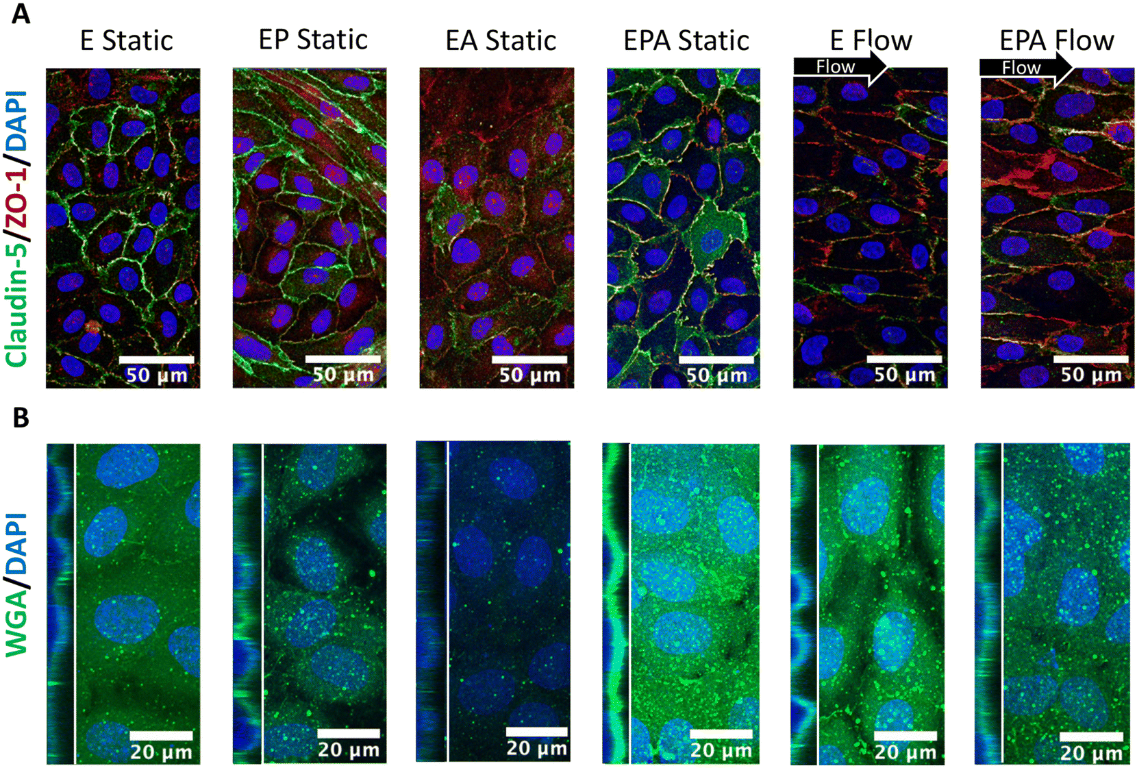 https://pubs.rsc.org/image/article/2022/LC/d2lc00657j/d2lc00657j-f7_hi-res.gif