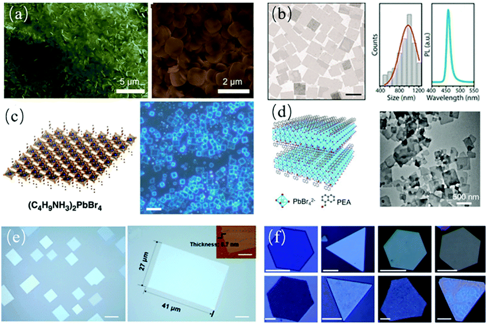 Design of two-dimensional halide perovskite composites for optoelectronic  applications and beyond - Materials Advances (RSC Publishing)  DOI:10.1039/D1MA00944C