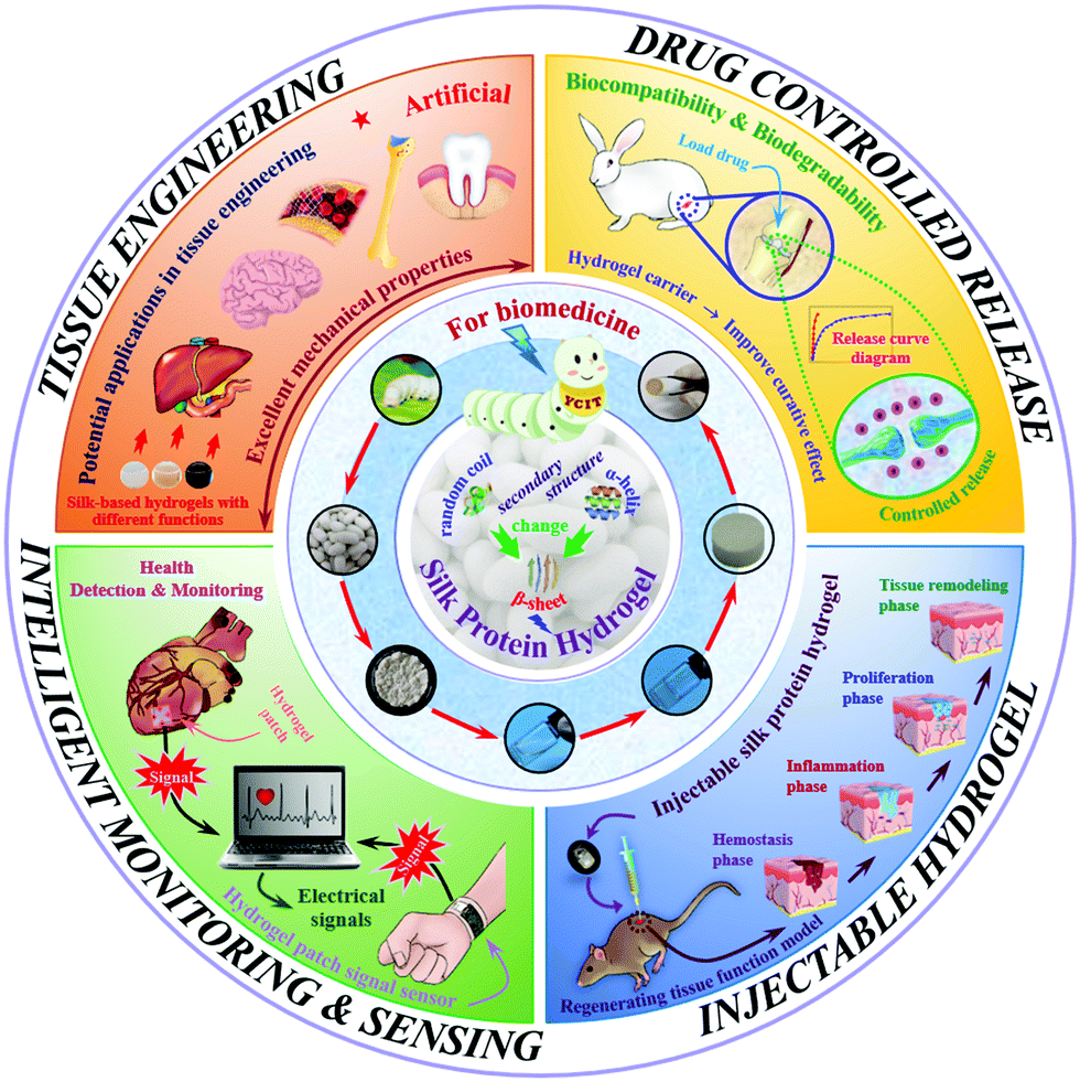 The effect of ageing on the mechanical properties of the silk of