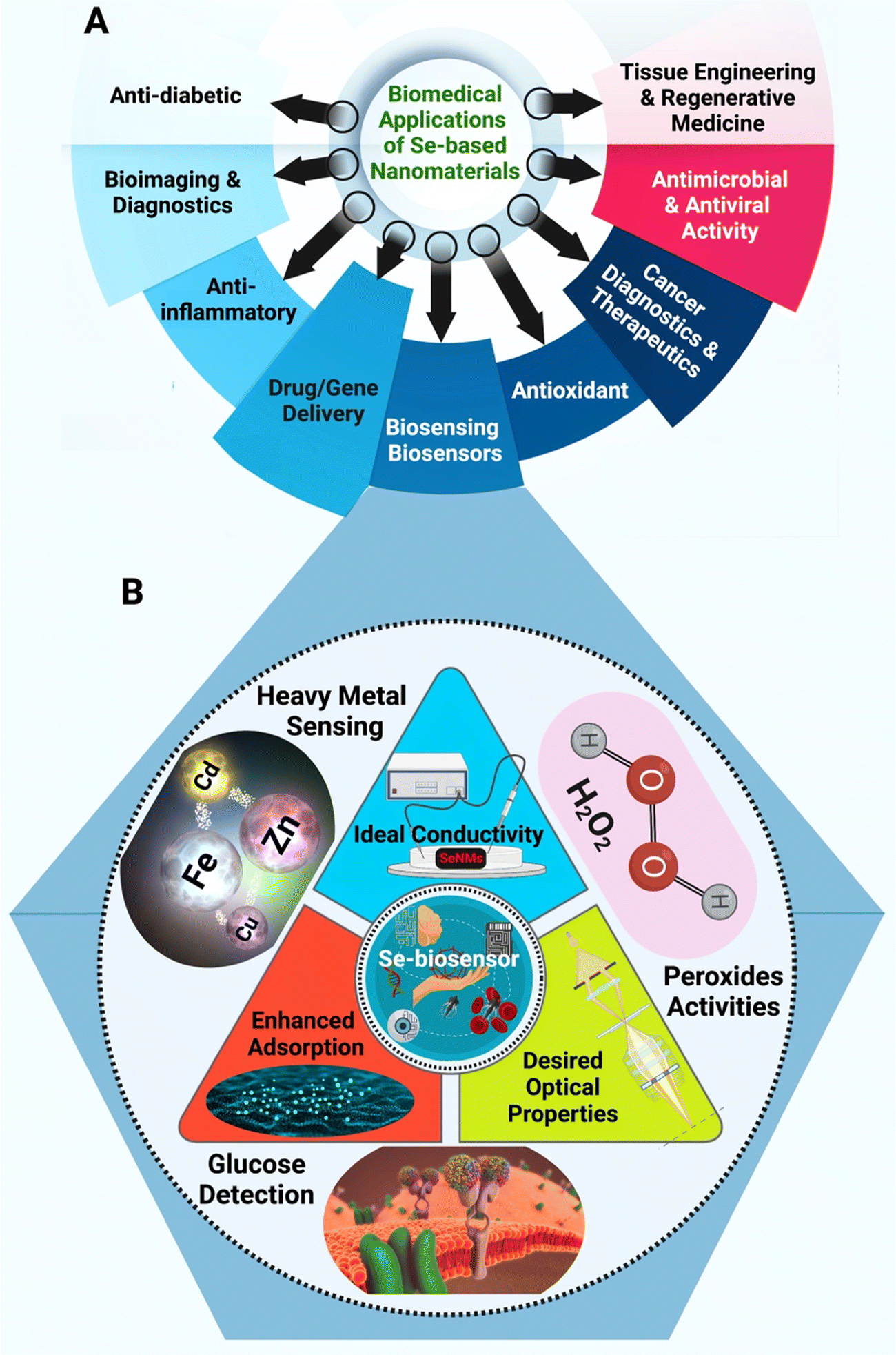 DNAzyme-Based Biosensors: Immobilization Strategies, Applications, and  Future Prospective