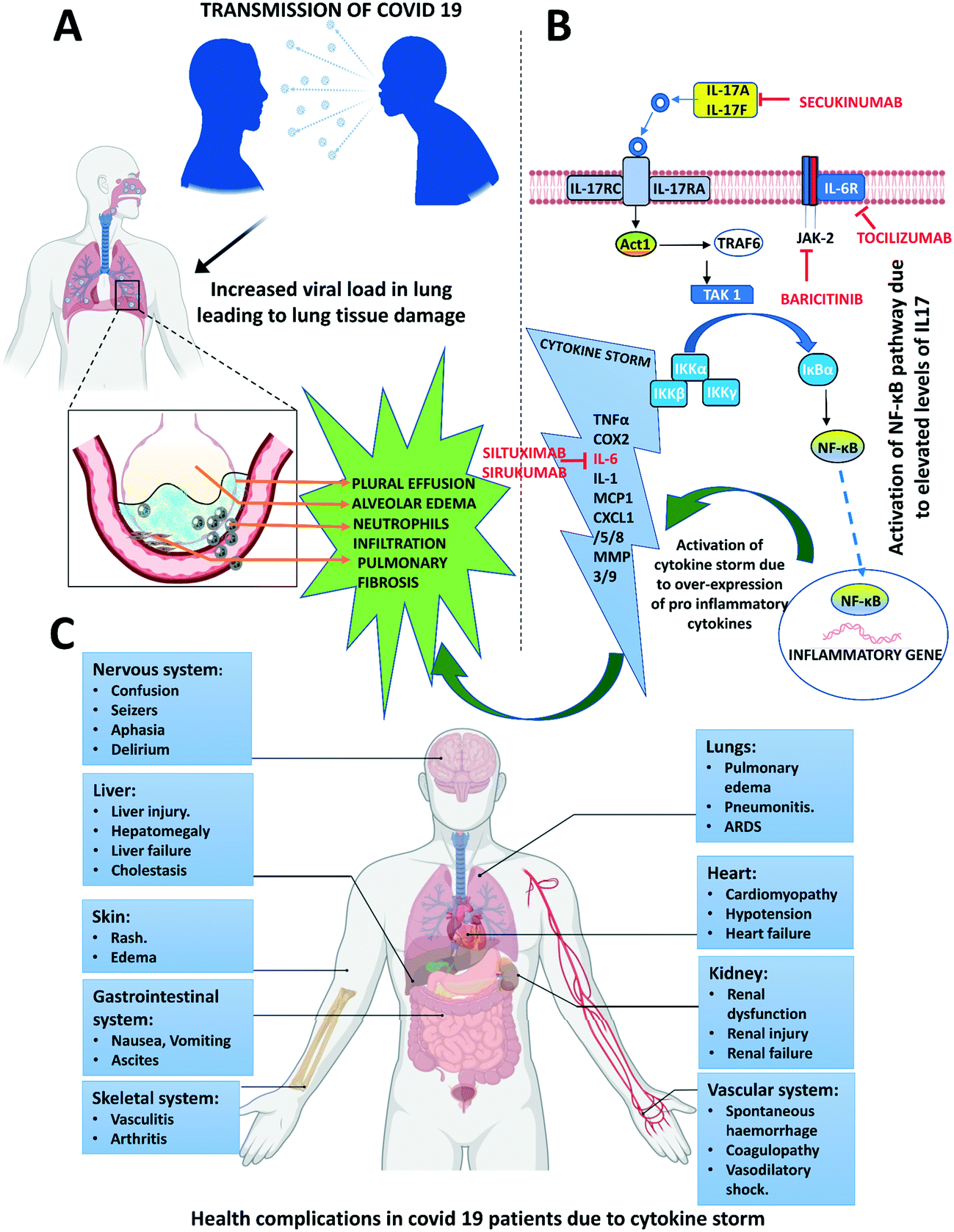 An insight into SARS-CoV-2 structure, pathogenesis, target hunting