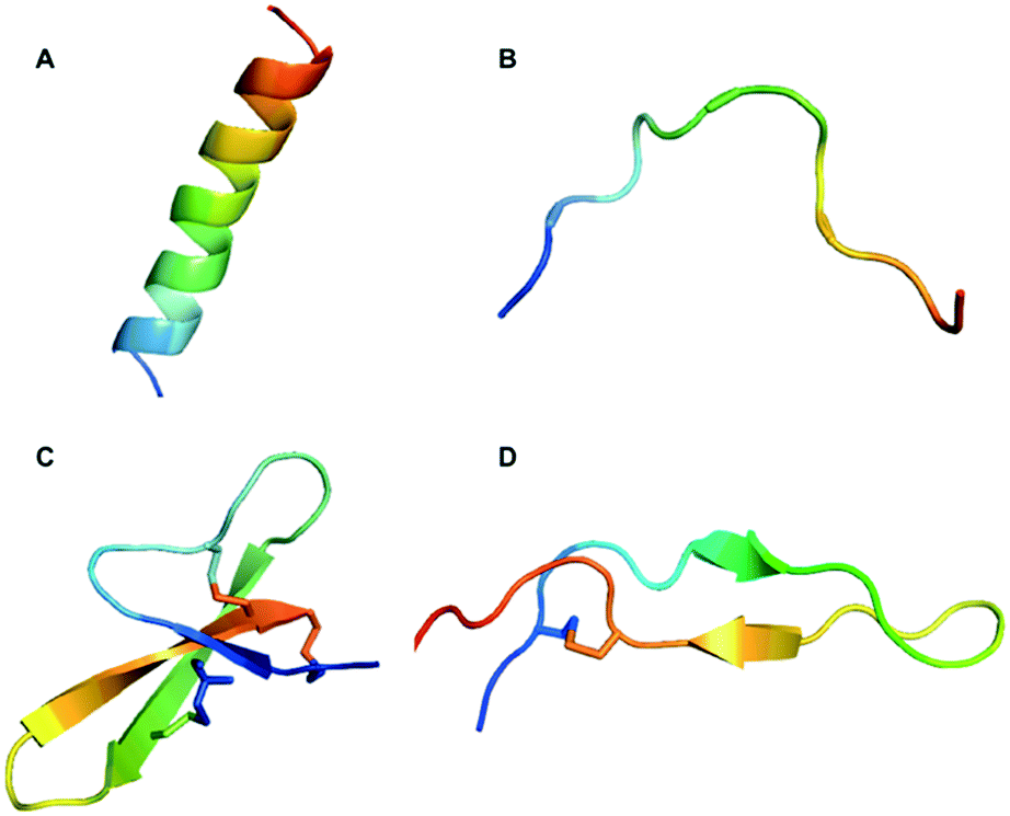 Structures type of antimicrobial peptides