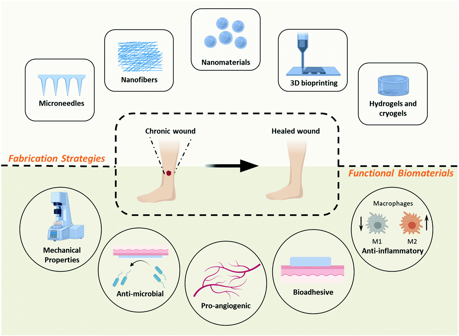 New wound glue revealed - ResearchCareer