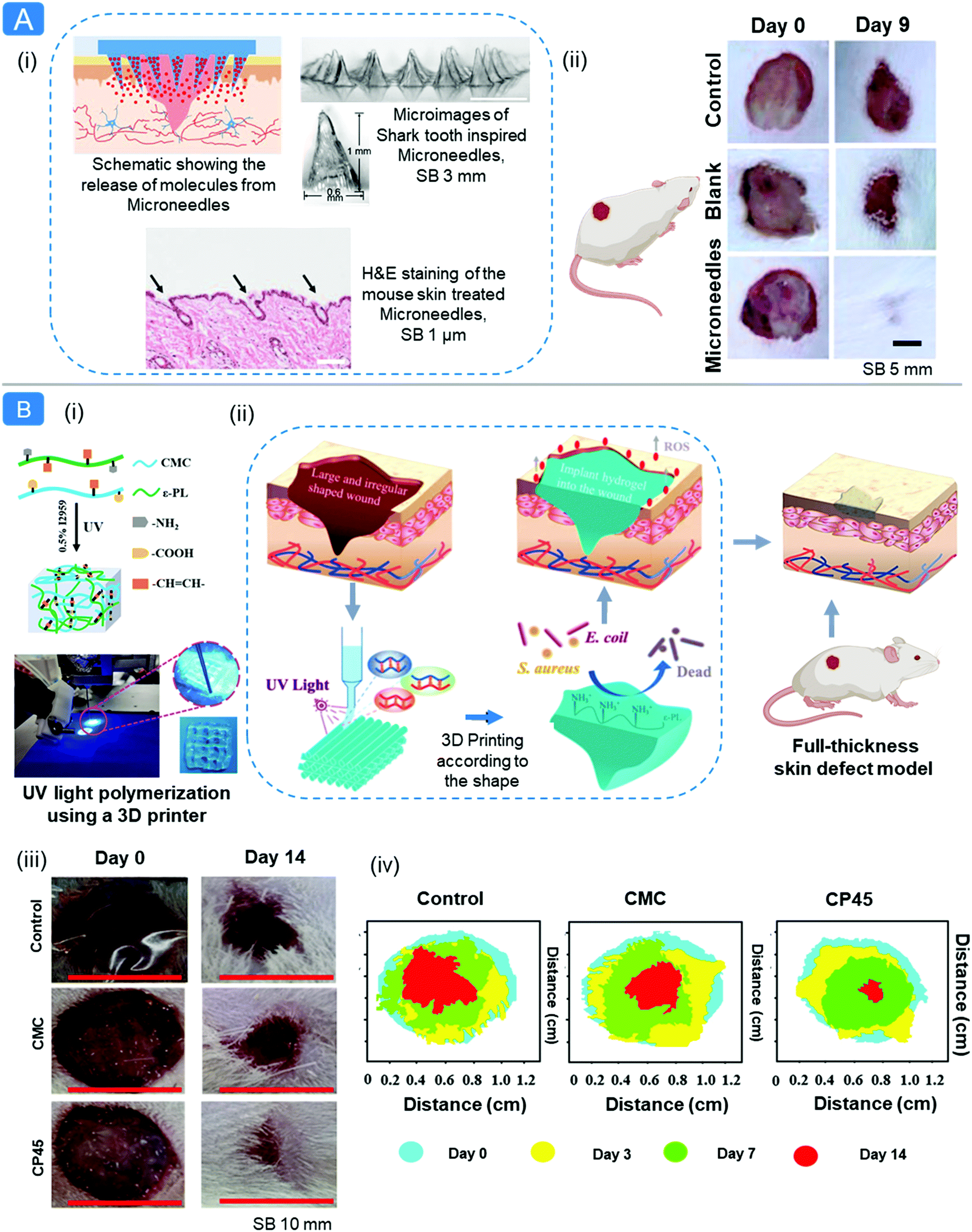 New wound glue revealed - ResearchCareer