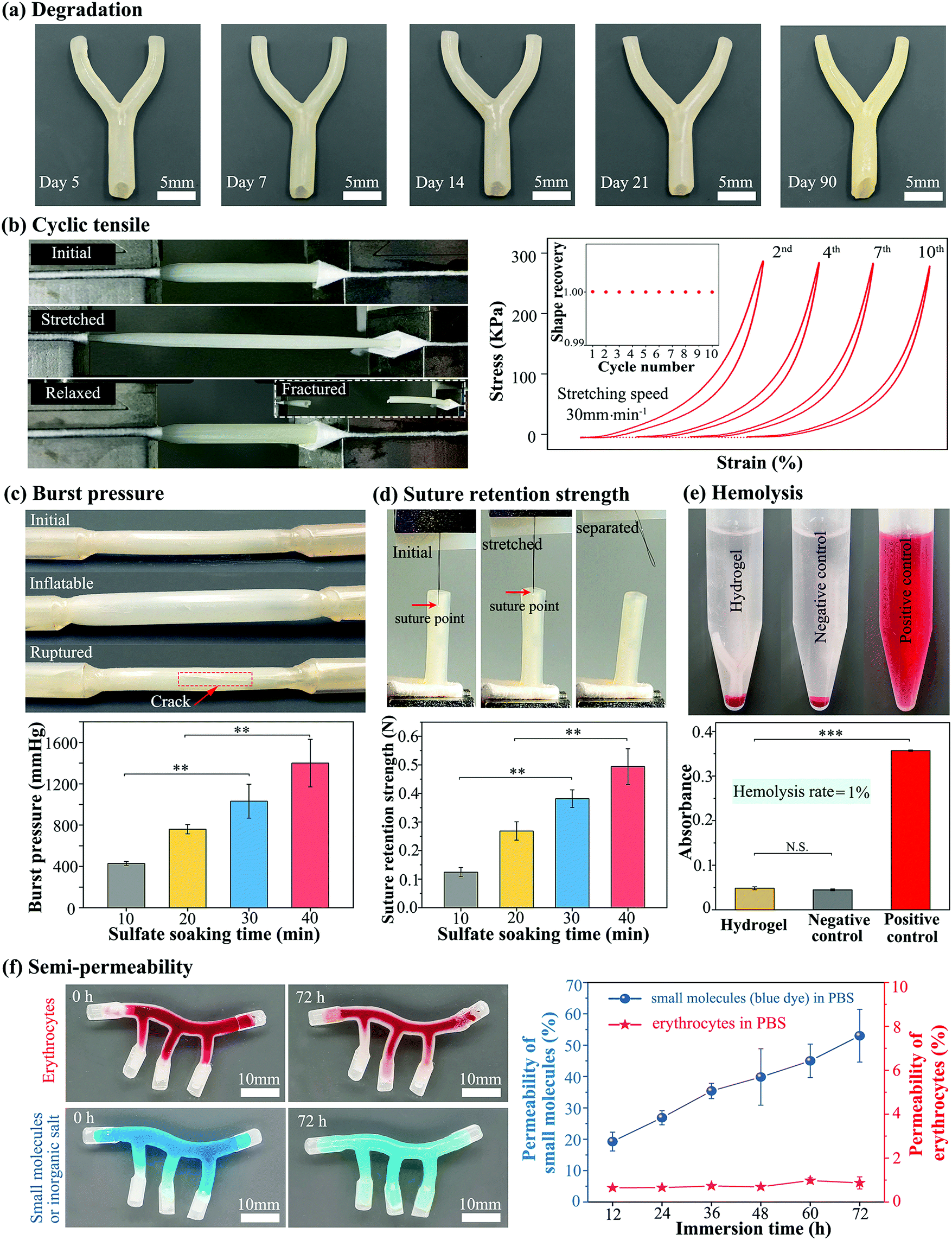 A versatile strategy to construct free-standing multi-furcated 