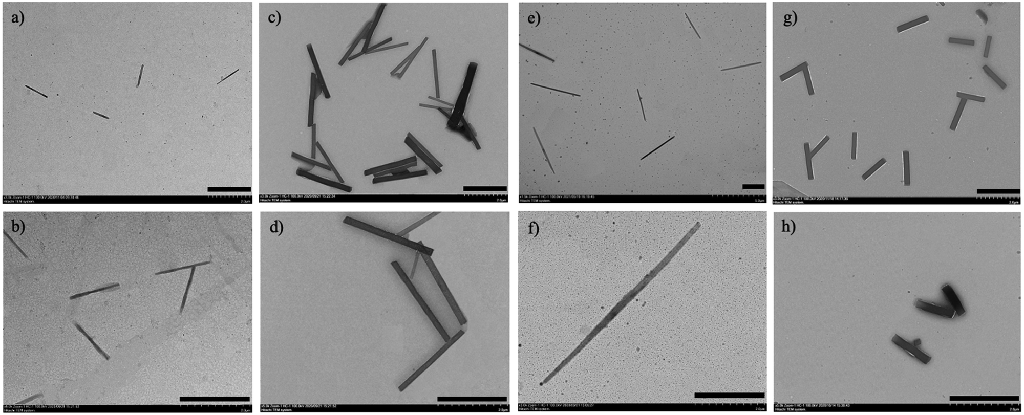 Morphological transition and transformation of 2D nanosheets
