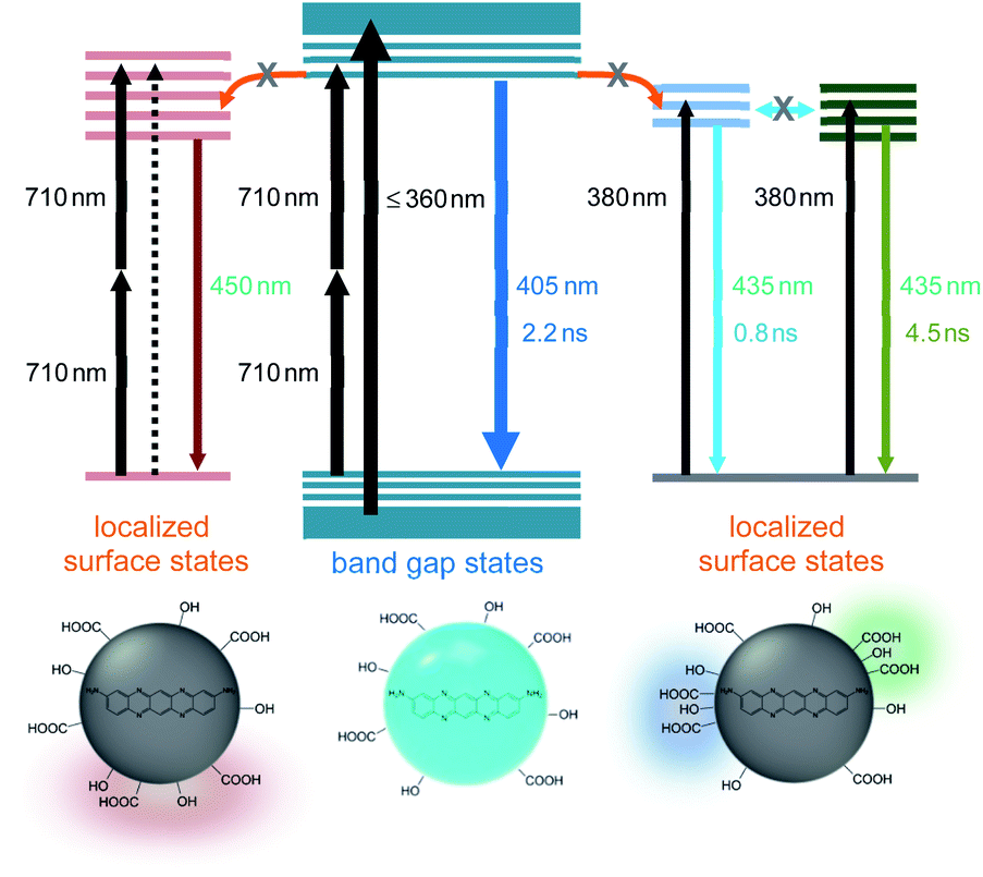 Distinctive Optical Transitions Of Tunable Multicolor Carbon Dots Nanoscale Advances Rsc Publishing Doi 10 1039 D1nak