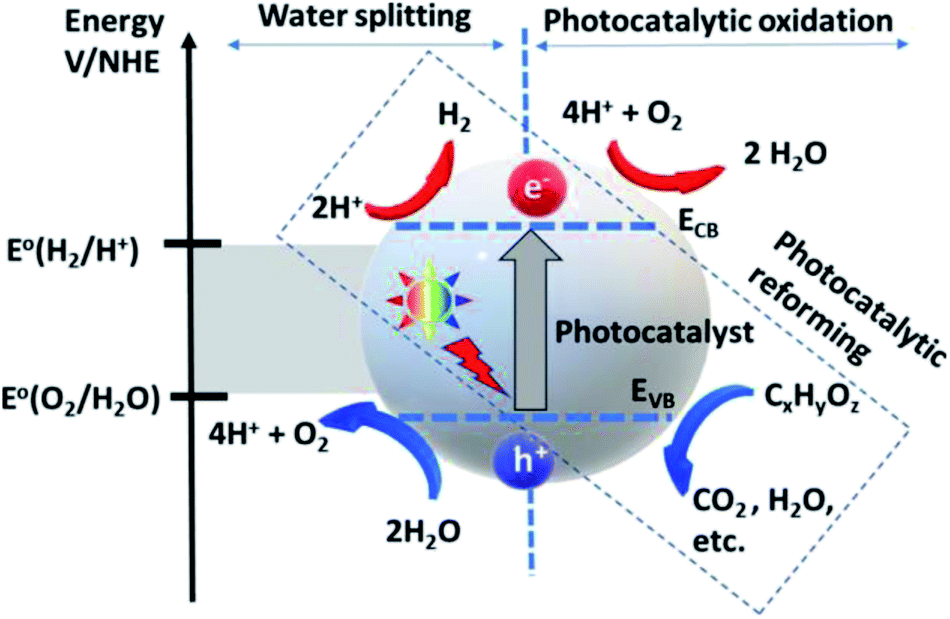 Mechanistic Study of Glucose Photoreforming over TiO2-Based Catalysts for  H2 Production