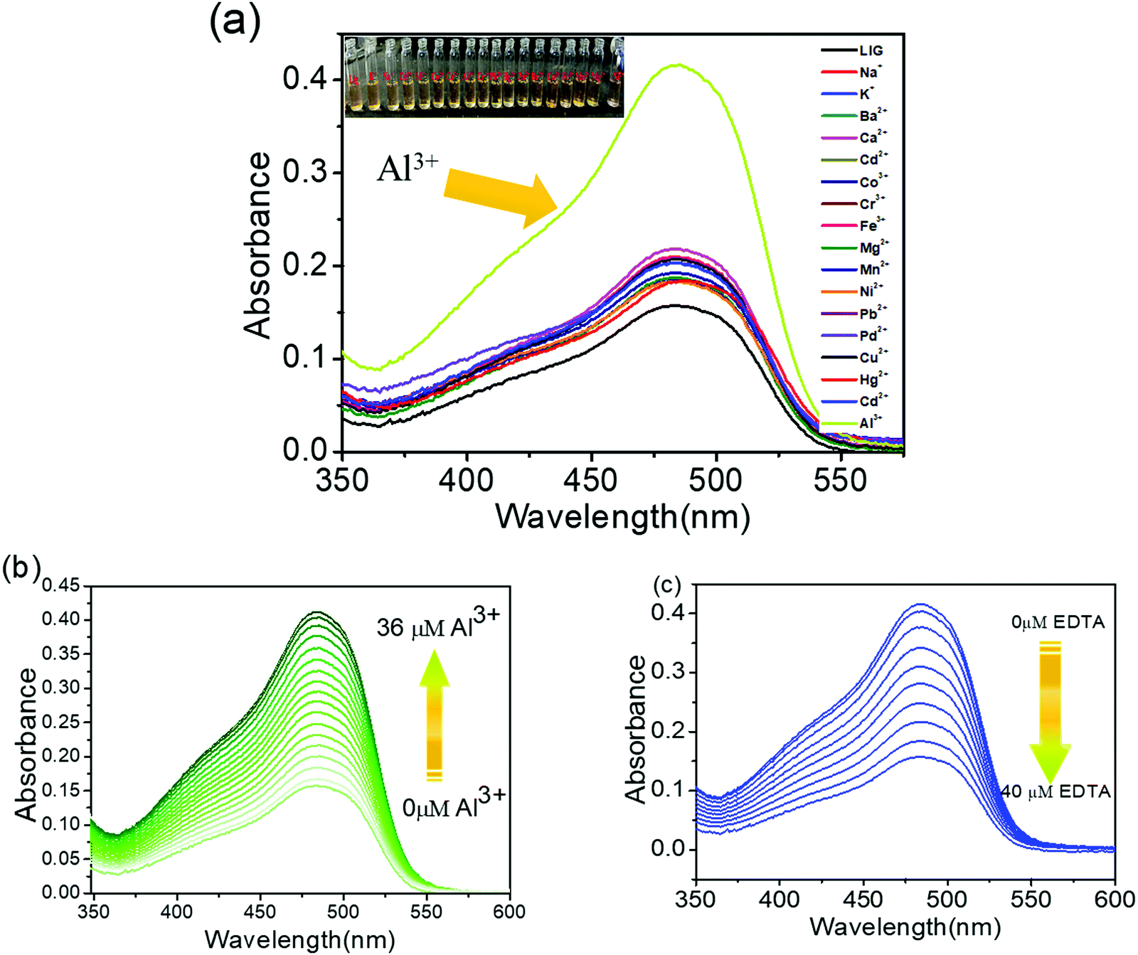 A naphthalene-based azo armed molecular framework for selective 