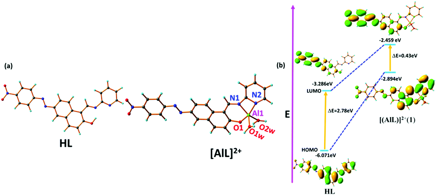 A naphthalene-based azo armed molecular framework for selective 