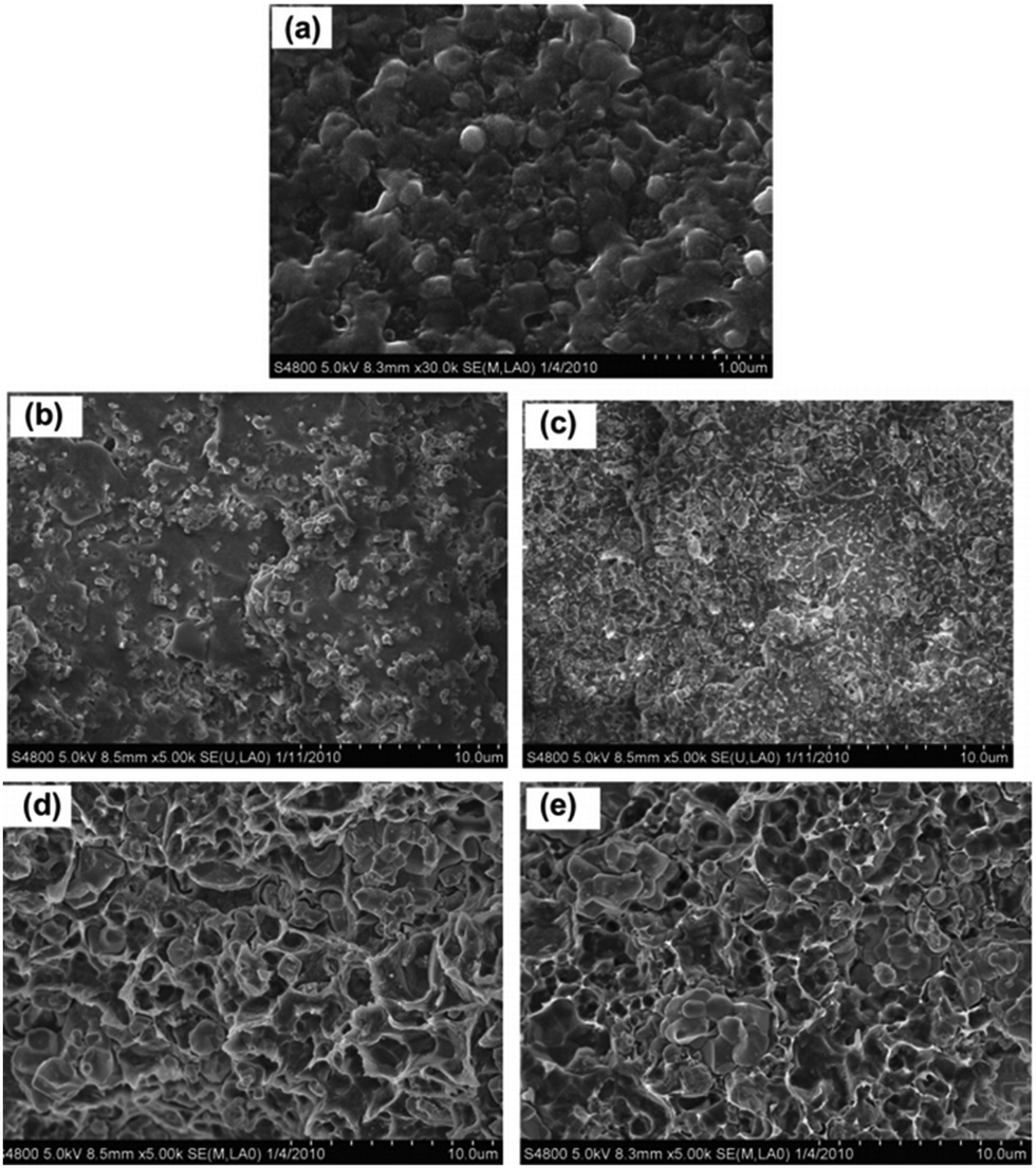 Recent progress on polyvinylidene difluoride-based nanocomposites 