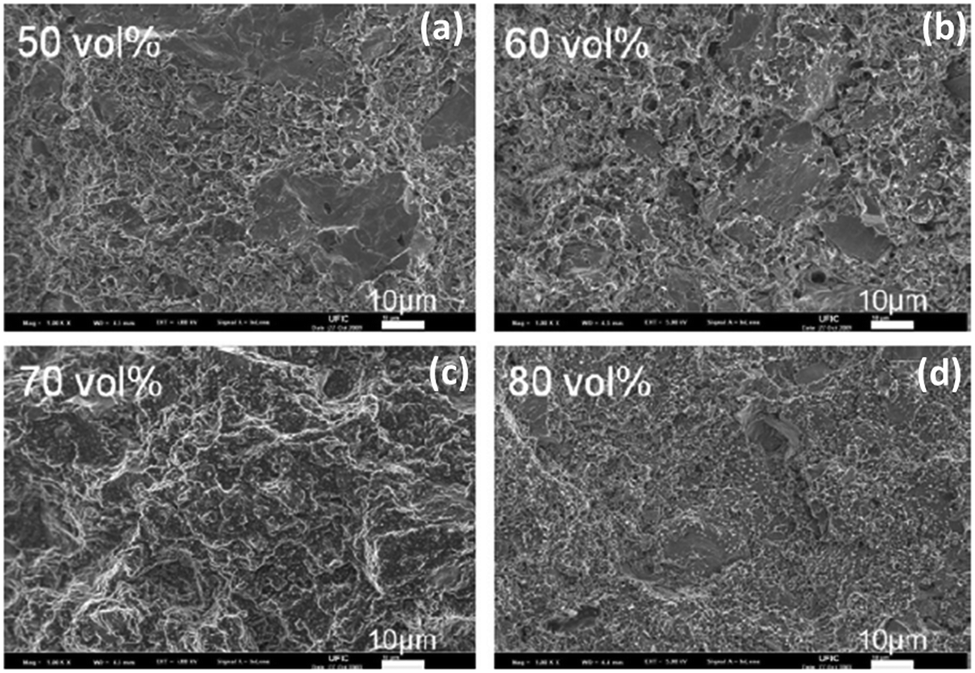 Recent progress on polyvinylidene difluoride-based nanocomposites 