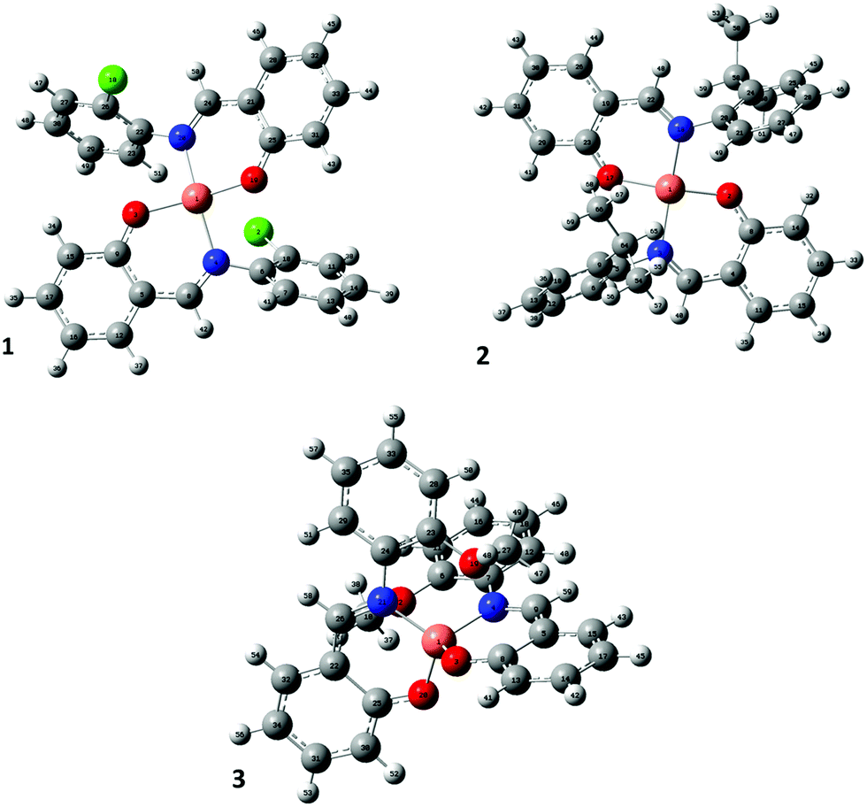 The effect of structural configuration on the DNA binding and in