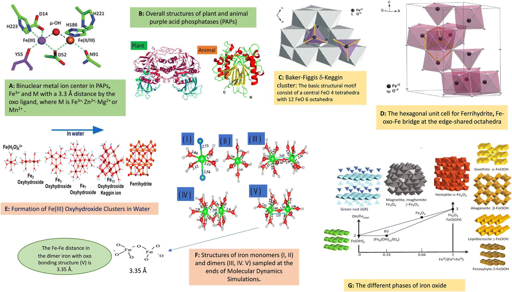 What are inorganic nanozymes? Artificial or inorganic enzymes