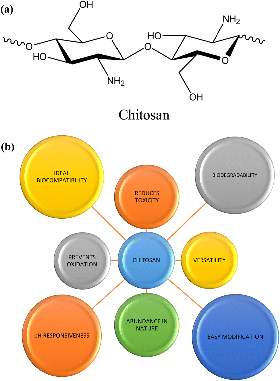 Magnetic Nanocomposites Containing Low and Medium-Molecular Weight Chitosan  for Dye Adsorption: Hydrophilic Property Versus Functional Groups