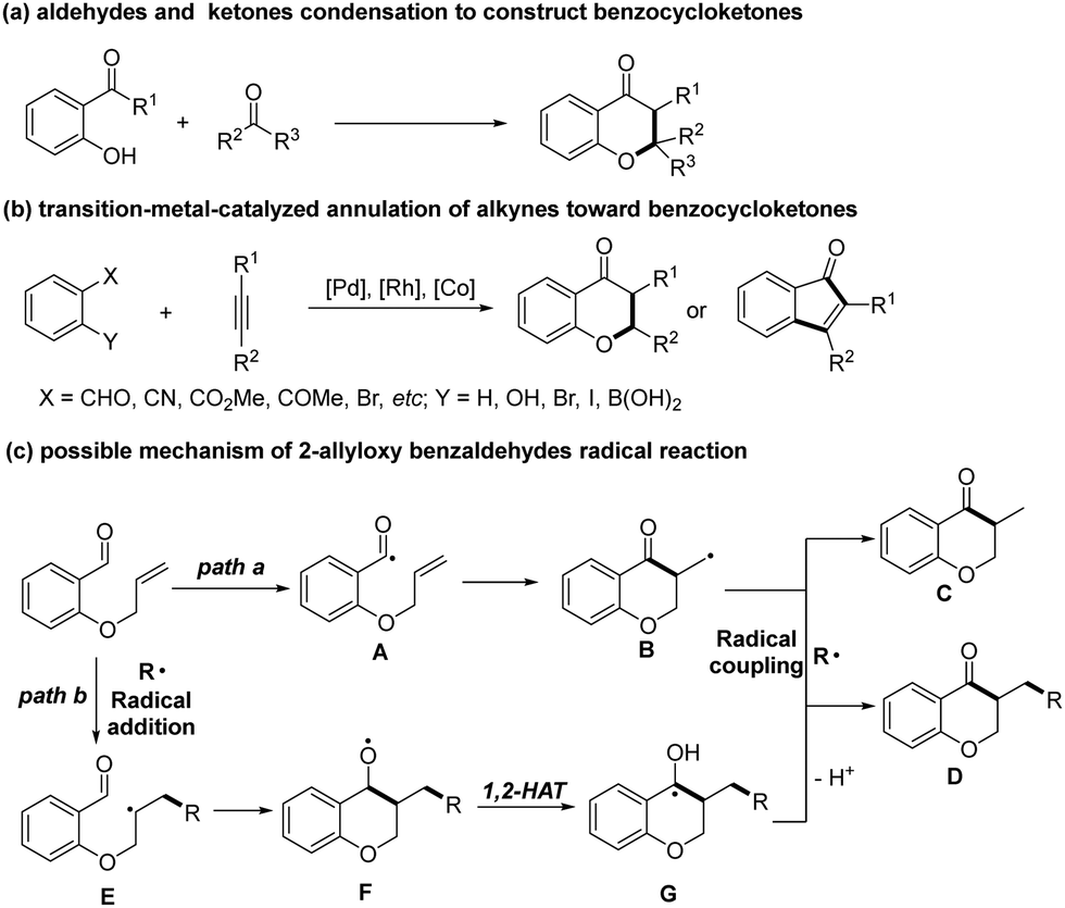 Recent advances in free radical cyclizations of 2-alkenyl benzaldehydes to  synthesize benzocycloketones - New Journal of Chemistry (RSC Publishing)  DOI:10.1039/D2NJ04021B