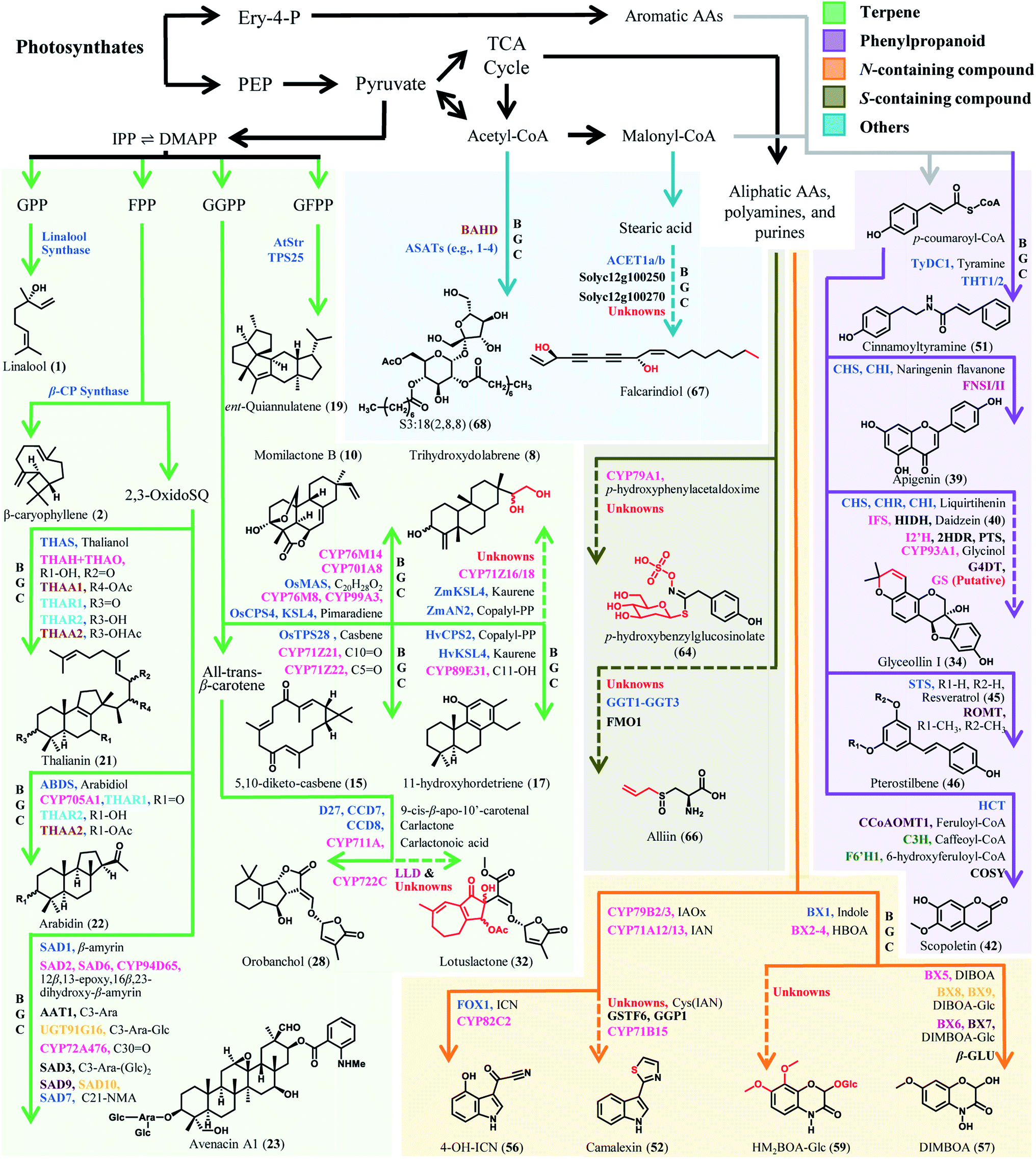 Functions and biosynthesis of plant signaling metabolites 