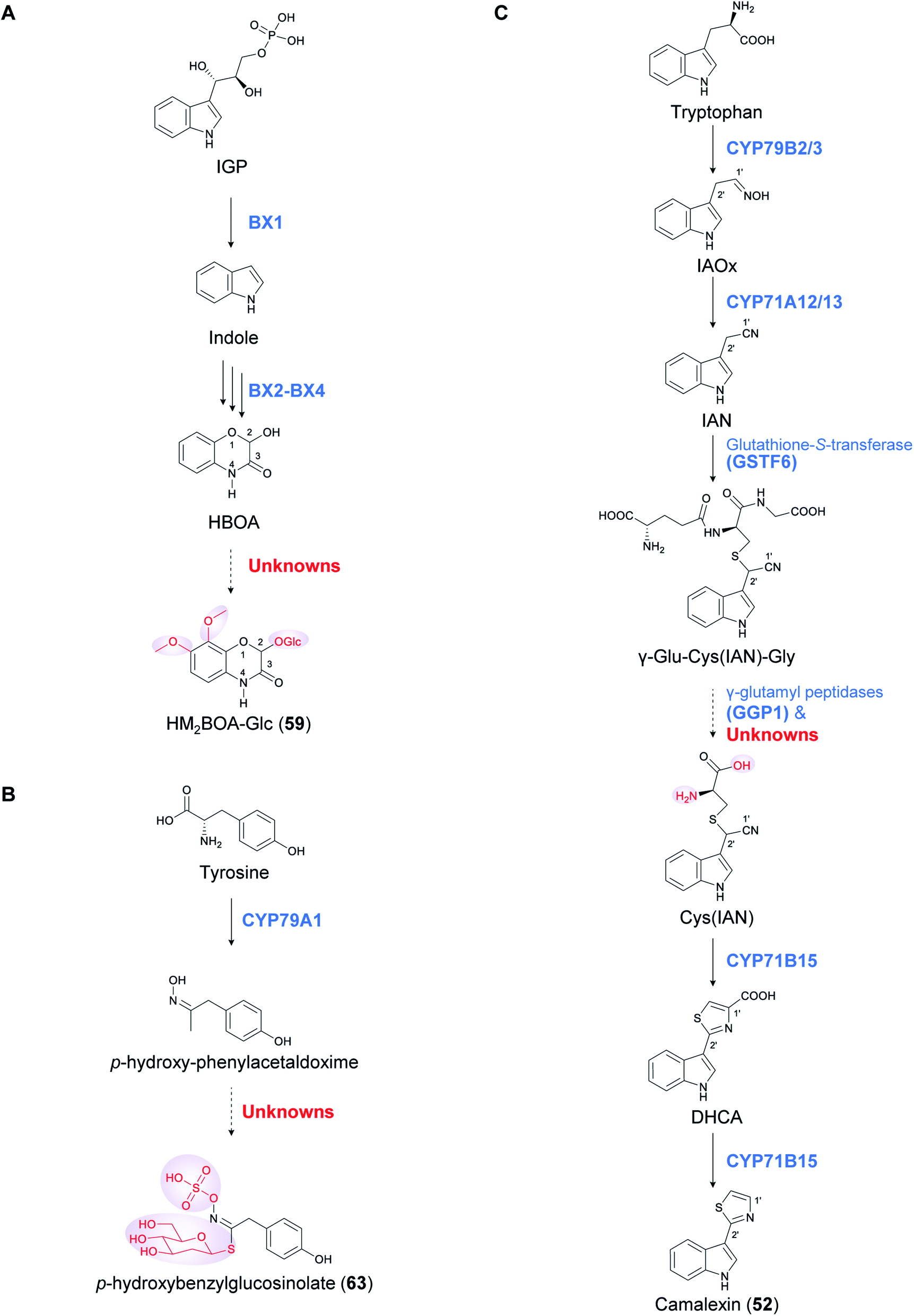 Functions and biosynthesis of plant signaling metabolites 