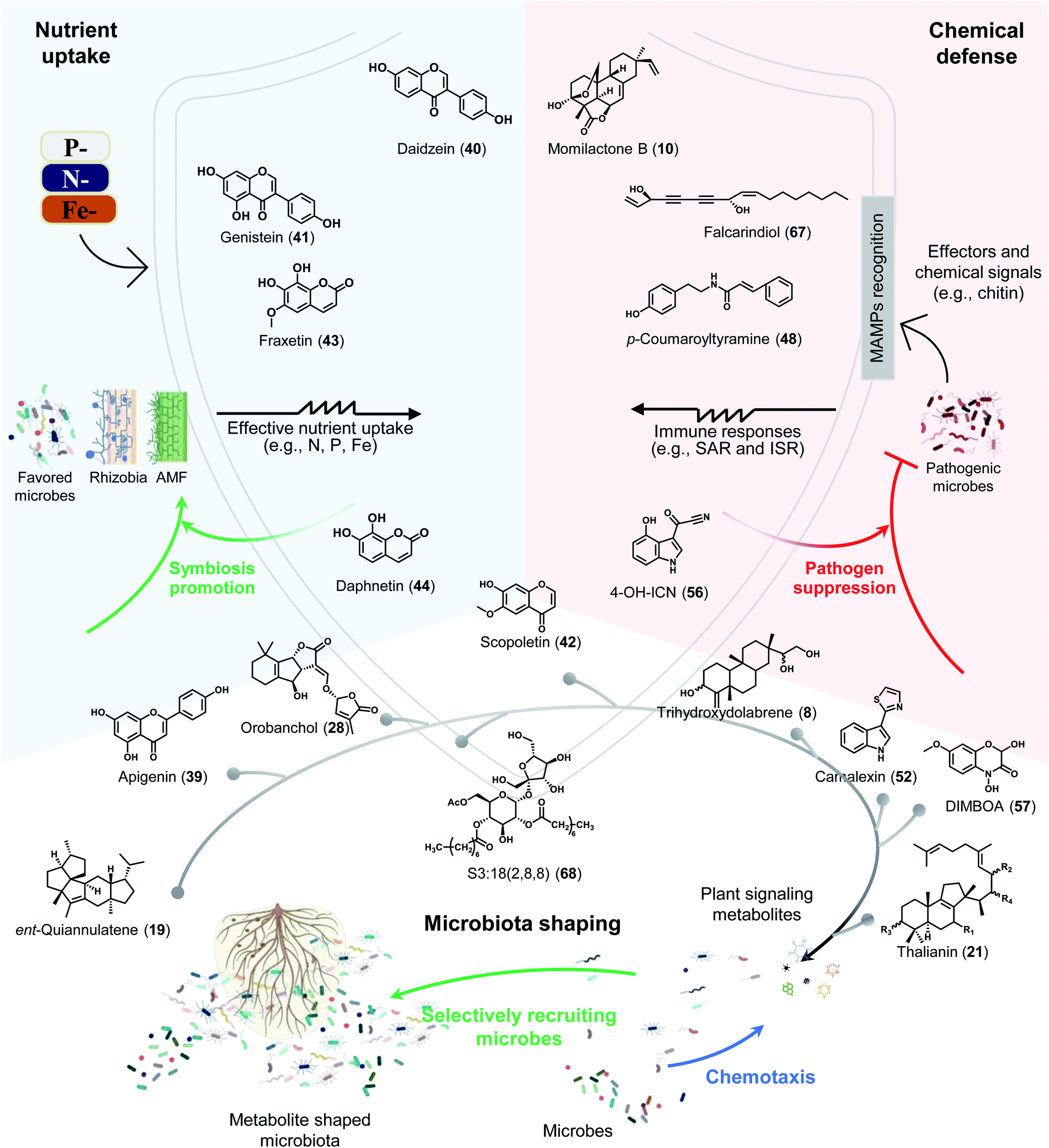 Functions and biosynthesis of plant signaling metabolites 