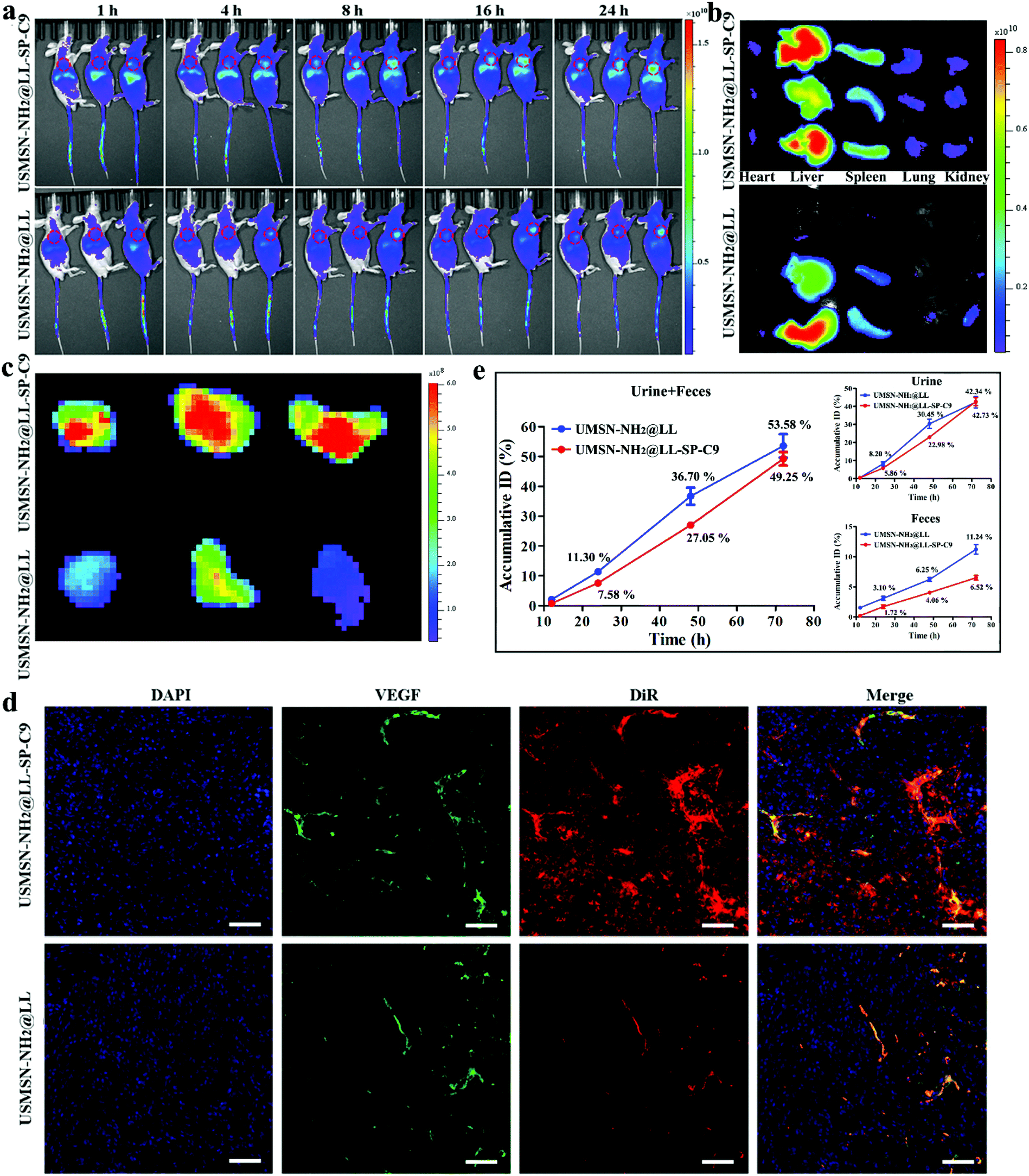 pH-Responsive size-shrinkable mesoporous silica-based