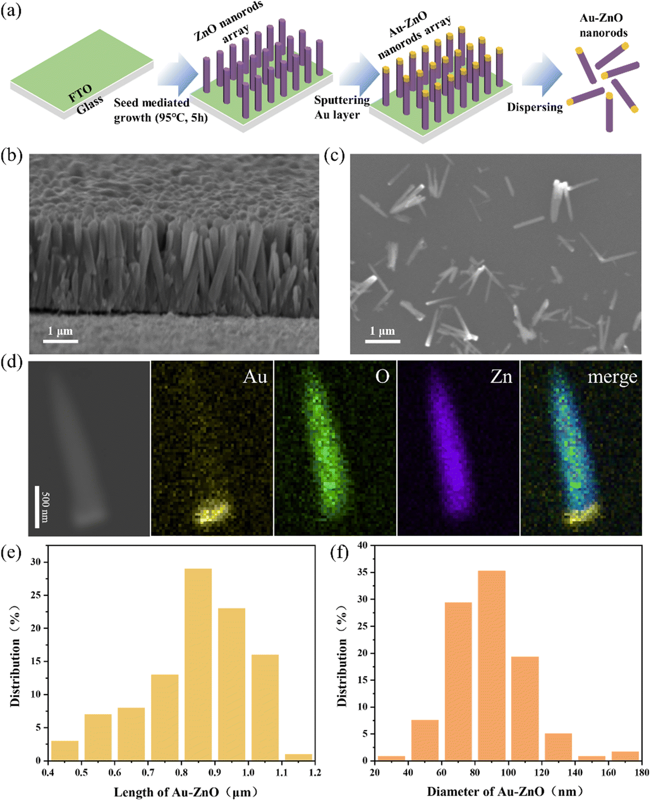 Light-driven Au–ZnO nanorod motors for enhanced photocatalytic 