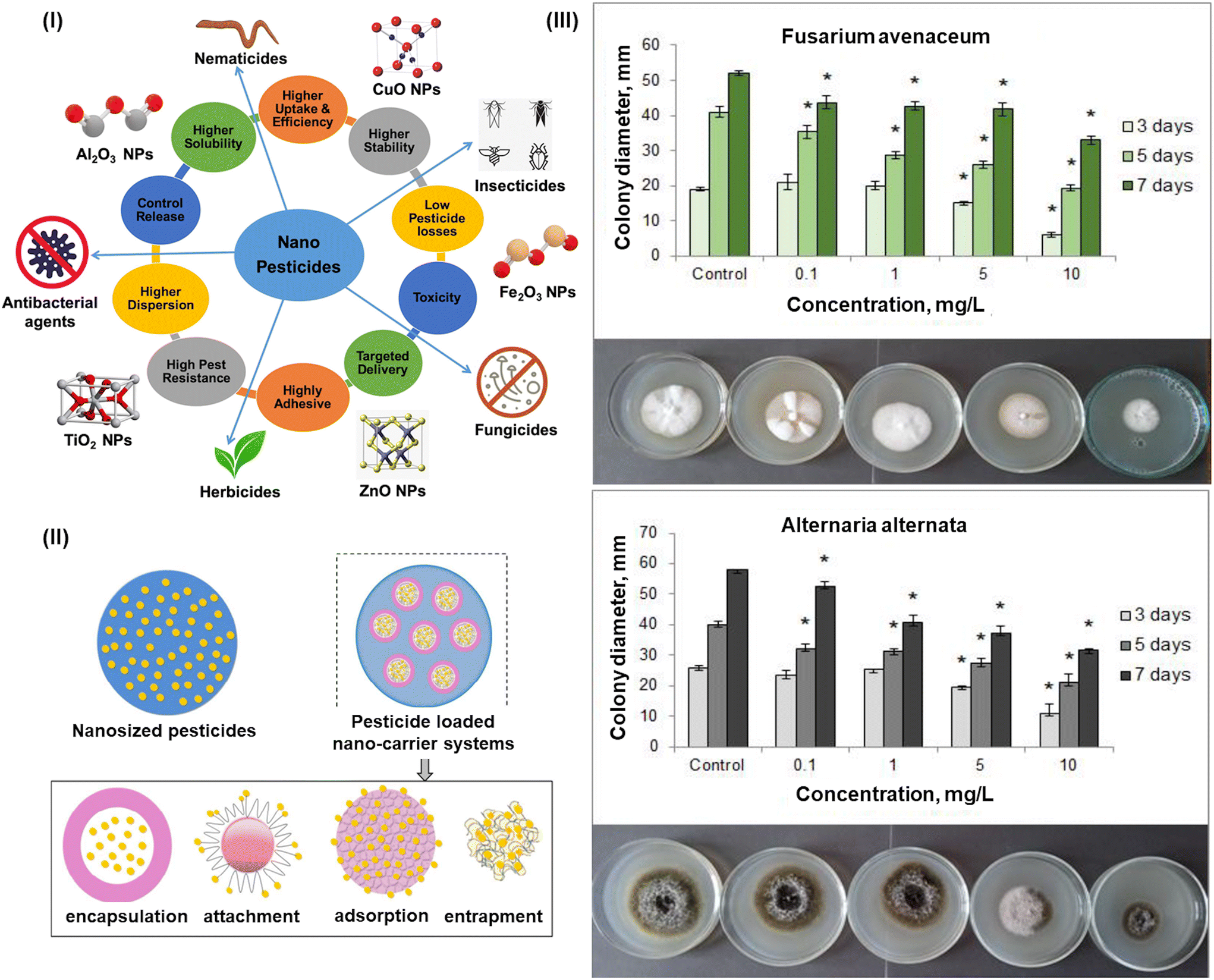 Biosynthesized metal oxide nanoparticles for sustainable agriculture:  next-generation nanotechnology for crop production, protection and  management - Nanoscale (RSC Publishing) DOI:10.1039/D2NR03944C