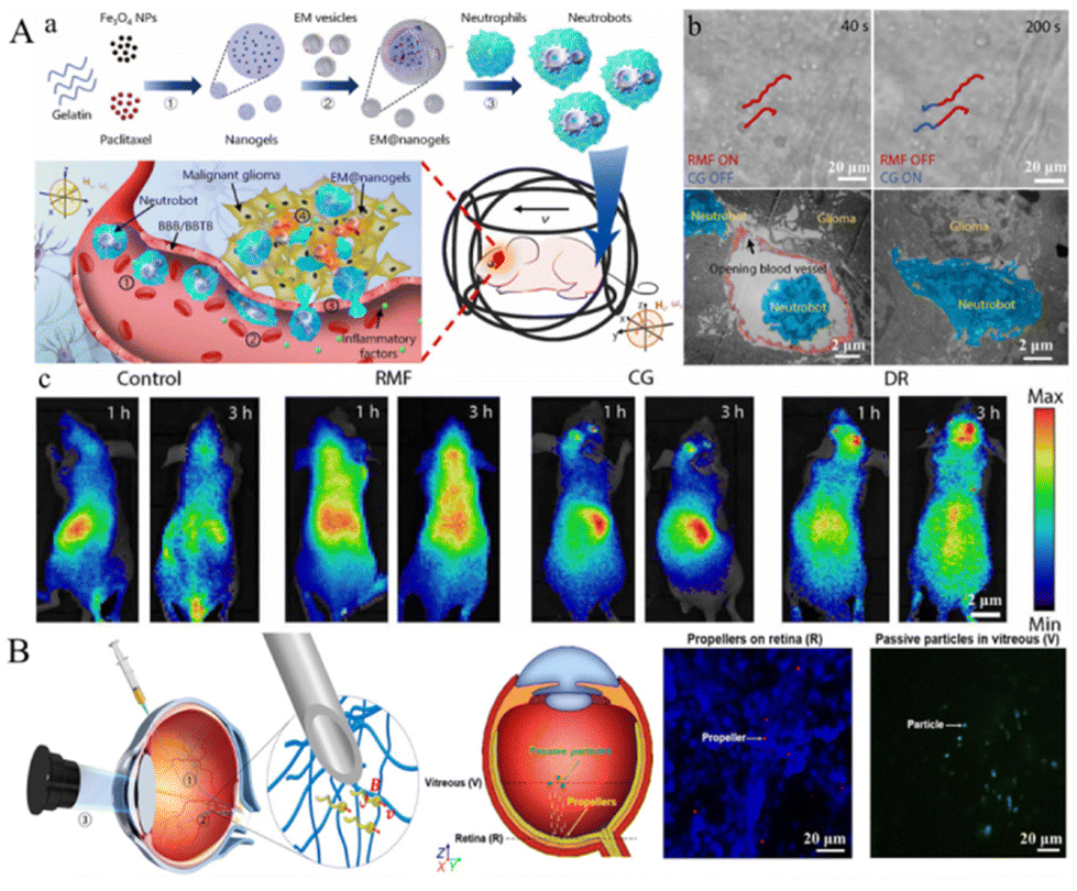 Research progress in the application of colloidal motors for Research progress in the application of colloidal motors for
