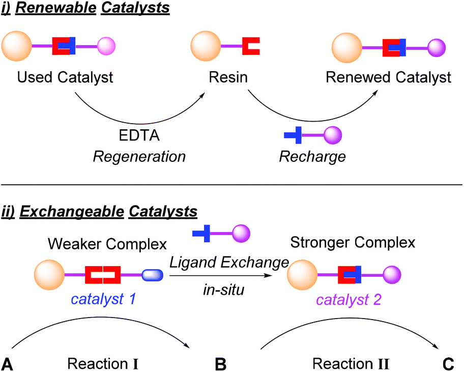 Reaction kinetics for the reaction of 1e/c with NMM (A) HPLC stack