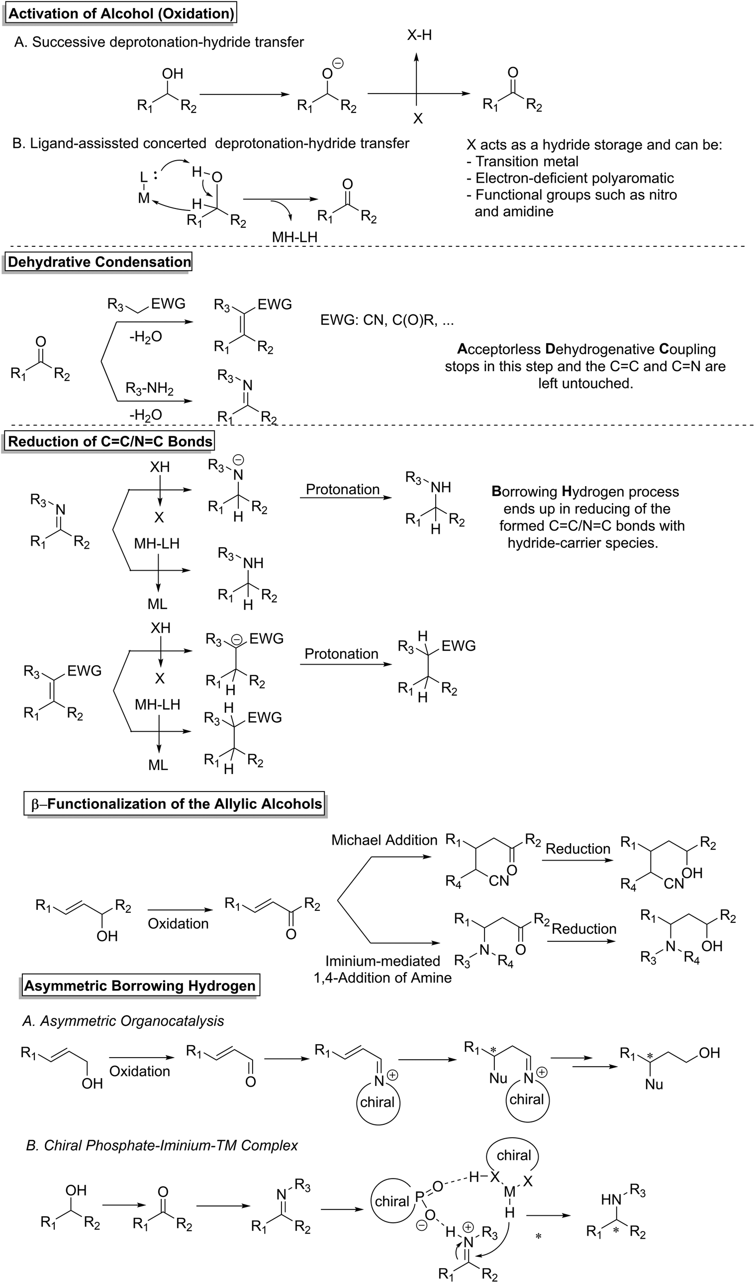 Recent advances in C / N -alkylation with alcohols through hydride transfer  strategies - Organic & Biomolecular Chemistry (RSC Publishing)  DOI:10.1039/D2OB00706A