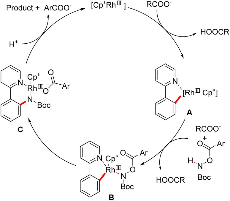 Rh[III]-Catalyzed C–H Amidation Using Aroyloxycarbamates To Give N-Boc  Protected Arylamines