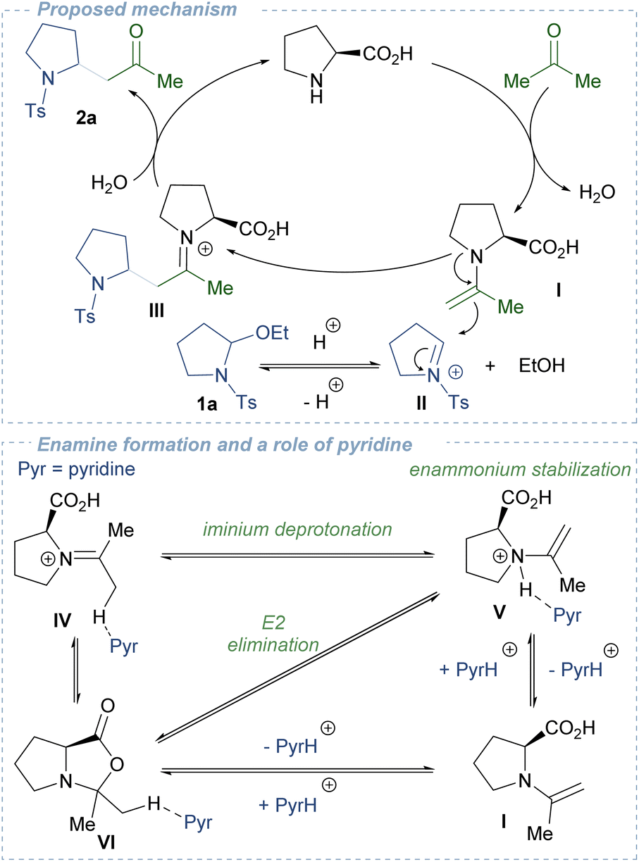 Enamine-mediated Mannich reaction of cyclic N , O -acetals