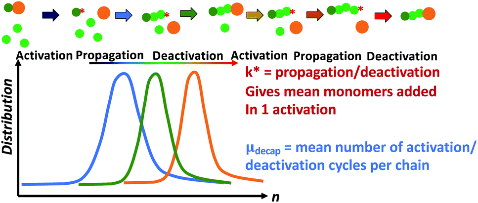 Chain-length distributions. Size-fractionated glucans from the