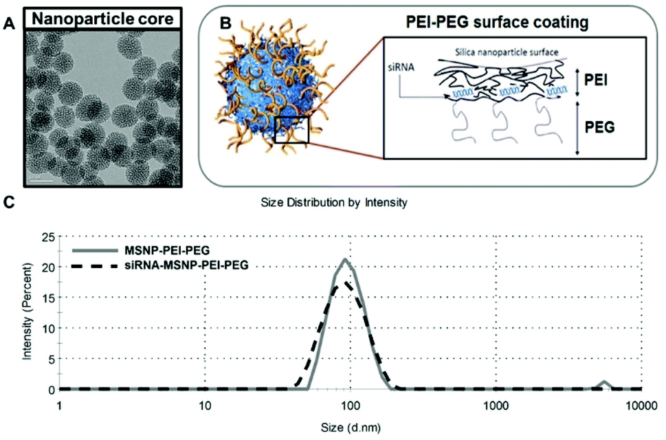 https://pubs.rsc.org/image/article/2022/PY/d1py01485d/d1py01485d-f6_hi-res.gif