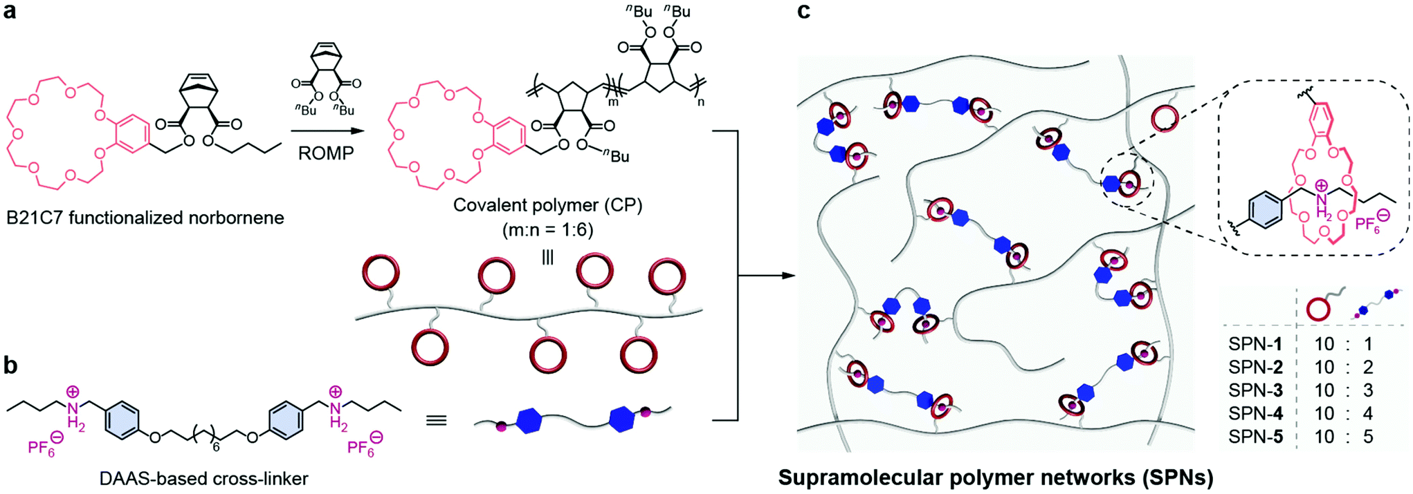 Supramolecular polymer networks crosslinked by crown ether
