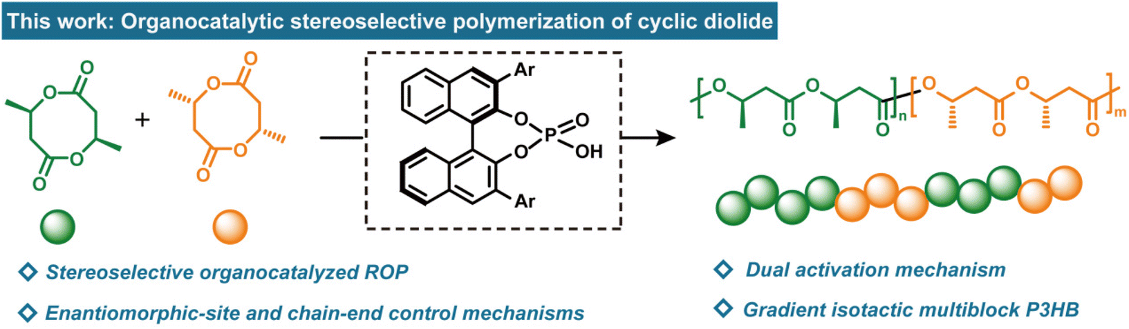 Gradient isoselective ring-opening polymerization of racemic cyclic diolide  driven by chiral phosphoric acid catalysis - Polymer Chemistry (RSC  Publishing) DOI:10.1039/D2PY00955B