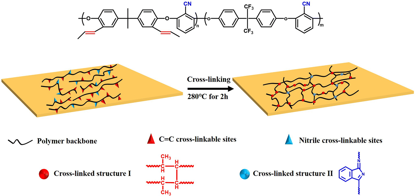 Thermal properties of the crosslinked PEN film (a) DSC curves during