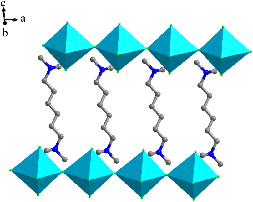 A lead-free halide hybrid perovskite (TMHD)BiCl 5 for ultraviolet 