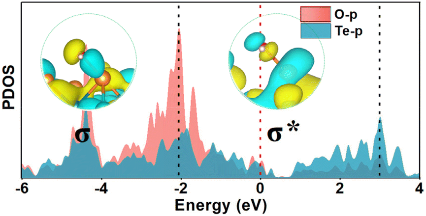 2D NbIrTe 4 and TaRhTe 4 monolayers: two fascinating topological 