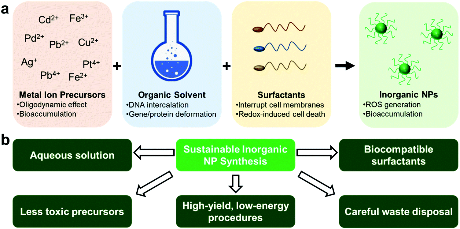 Trends and perspectives in bio- and eco-friendly sustainable nanomaterial  delivery systems through biological barriers - Materials Chemistry  Frontiers (RSC Publishing) DOI:10.1039/D2QM00039C
