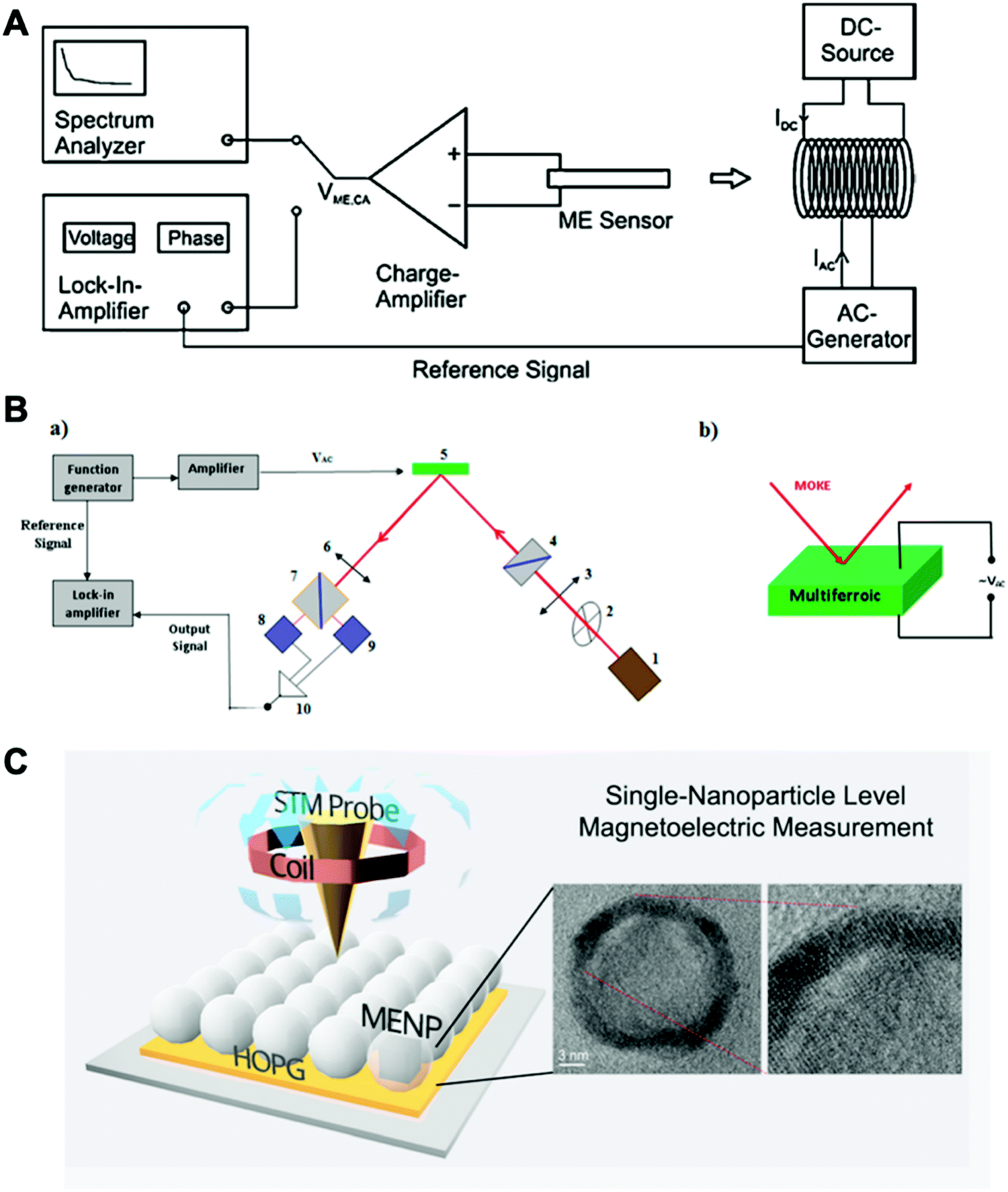 Magneto-elasto-electroporation (MEEP): In-vitro visualization and numerical  characteristics