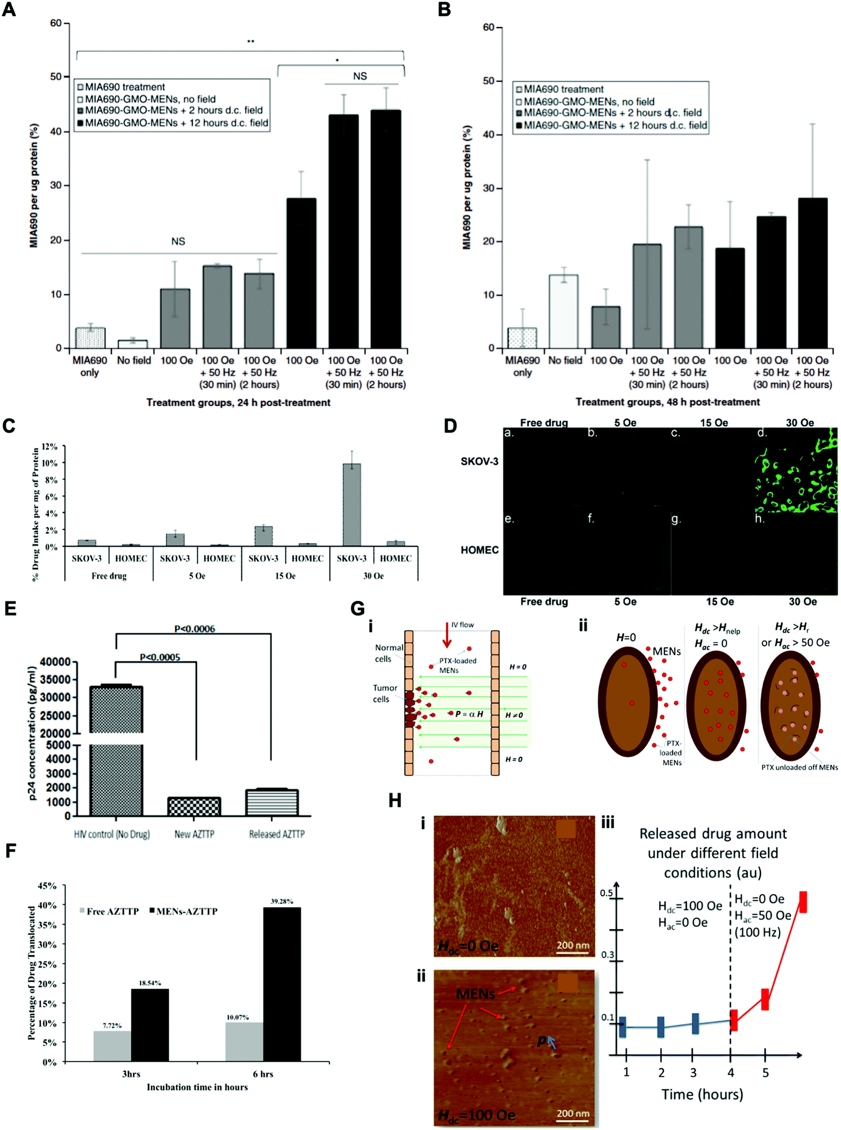 Magneto-elasto-electroporation (MEEP): In-vitro visualization and numerical  characteristics