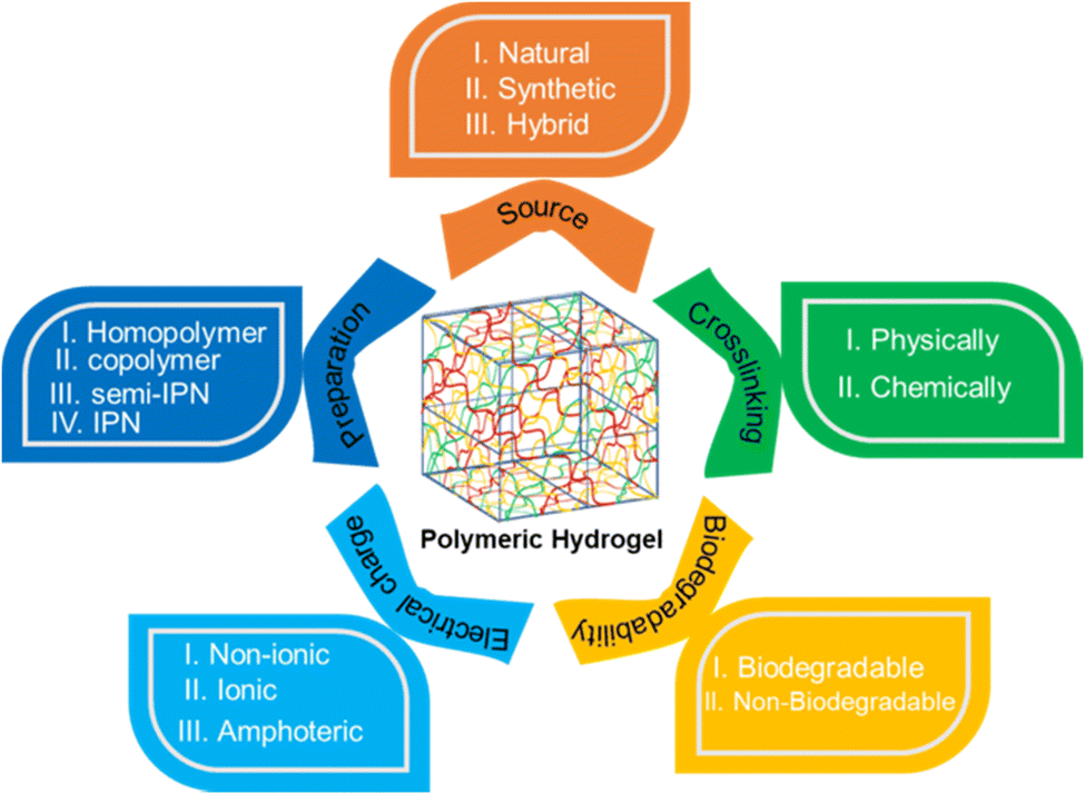 Stimulation–Inhibition of Protein Release from Alginate Hydrogels Using  Electrochemically Generated Local pH Changes