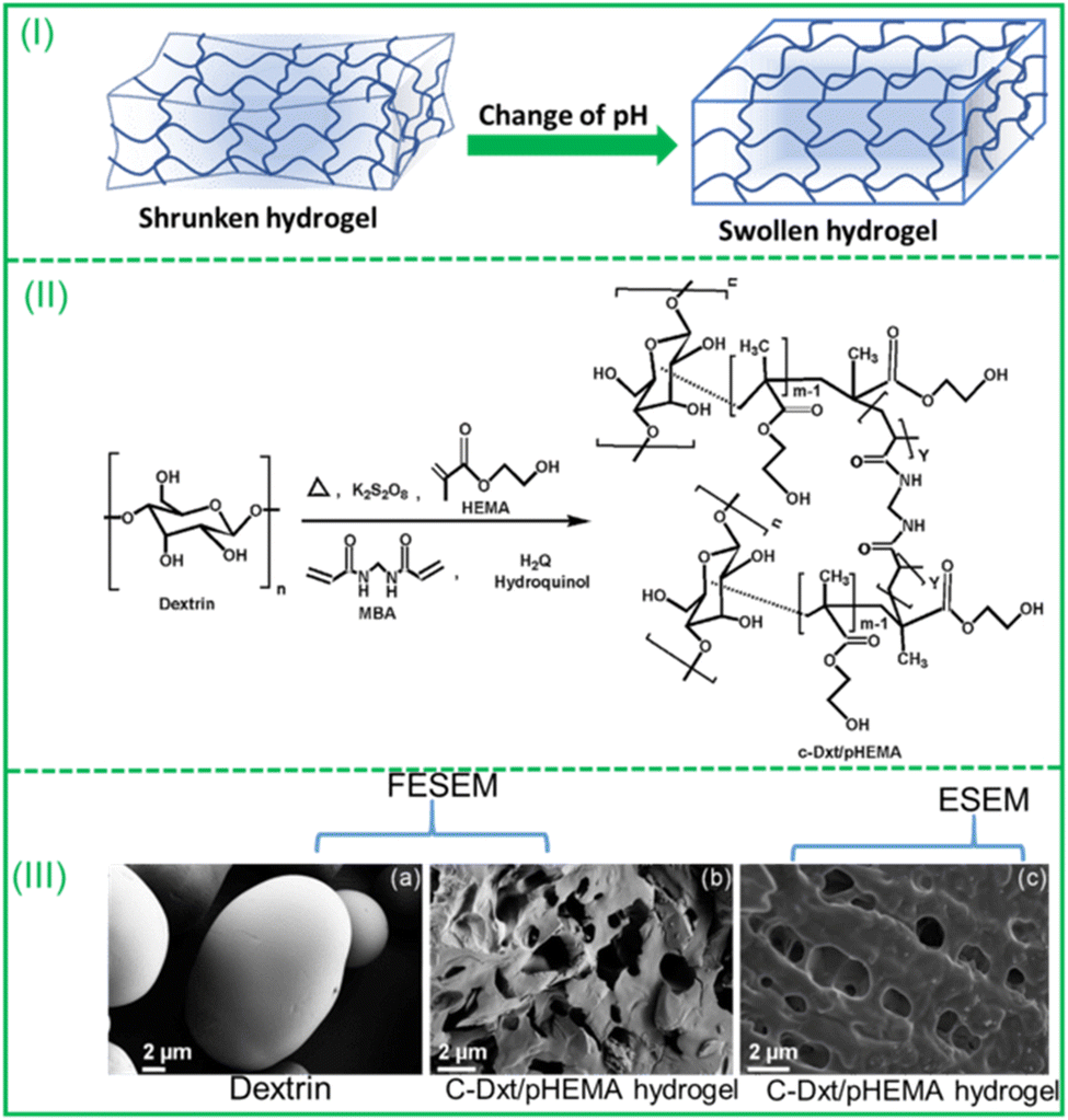 Stimulation–Inhibition of Protein Release from Alginate Hydrogels Using  Electrochemically Generated Local pH Changes