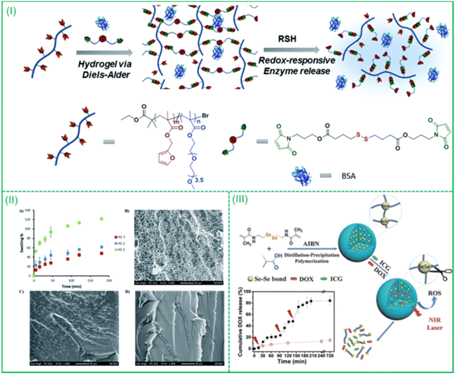 Stimulation–Inhibition of Protein Release from Alginate Hydrogels Using  Electrochemically Generated Local pH Changes