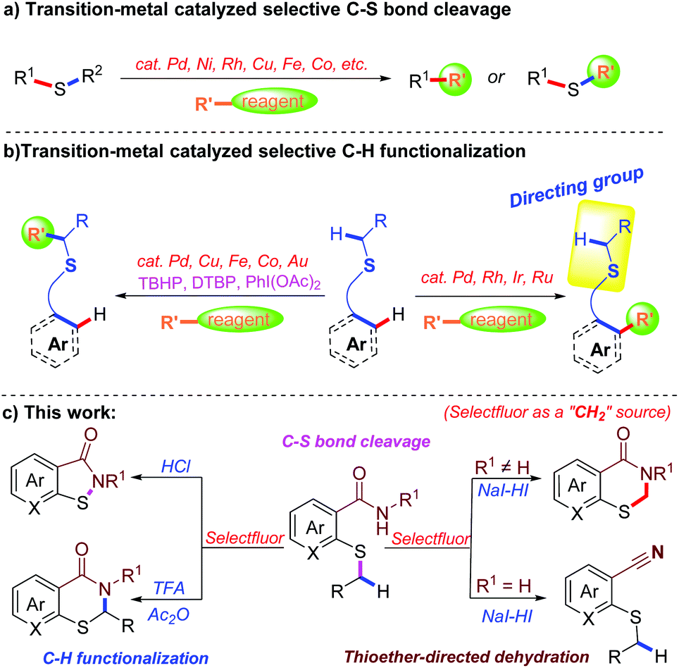 Metal Mediated Synthesis of 2‐thiazolines: Access to Regio‐ and  Stereoselective N,S‐heterocycles - Popy - 2021 - ChemistrySelect - Wiley  Online Library